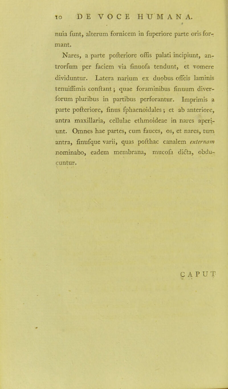 » nuia funt, alterum fornicem in fuperiore parte oris for- mant. Nares, a parte pofteriore offis palati incipiunt, an- trorfum per faciem via finuofa tendunt, et vomere dividuntur. Latera nariutn ex duobus ofleis laminis tenuiffimis conftant j quae foraminibus finuum diver- forum pluribus in partibus perforantur. Imprimis a parte pofteriore, finus fphaenoidales; et ab anteriore, antra maxillaria, cellulae ethmoideae in nares aperi- unt. Omnes hae partes, cum fauces, os, et nares, turn antra, finufque varii, quas pofthac canalem externum nominabo, eadem membrana, mucofa difla, obdu- cuntur.