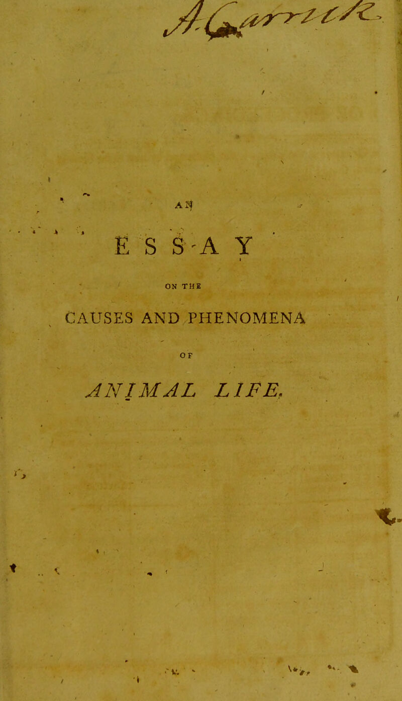 E S S'A y ON THE CAUSES AND PHENOMENA OF ANIMAL LIFE,