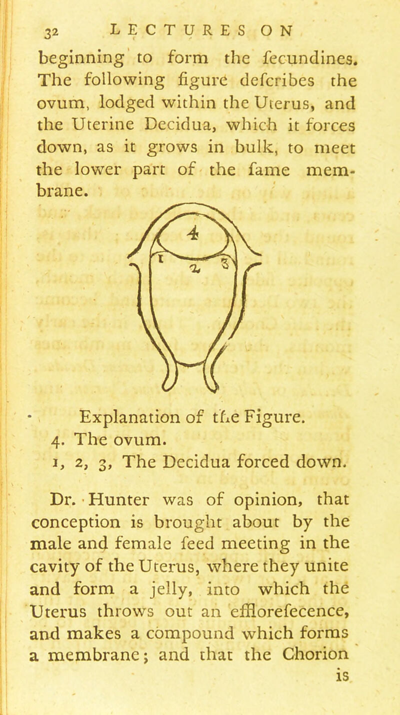 beginning to form the fecundines. The following figure defcribes the ovum, lodged within the Uterus, and the Uterine Decidua, which it forces down, as it grows in bulk, to meet the lower part of the fame mem- brane. Explanation of the Figure. 4. The ovum. 1, 2, 3, The Decidua forced down. Dr. - Hunter was of opinion, that conception is brought about by the male and female feed meeting in the cavity of the Uterus, where they unite and form a jelly, into which the Uterus throws out an efHorefecence, and makes a compound which forms a membrane; and that the Chorion is