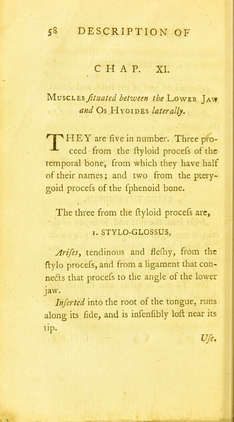 CHAP. XI. Muscles fituated between the Lower Ja\y and Os.Hyoides laterally. 'PHEY are five in number. Three pro- ceed from the ftyloid procefs of the temporal bone, from which they have half of their names; and two from the ptery- goid procefs of the fphenoid bone. The three from the ftyloid procefs are, i. STYLOGLOSSUS, Arifes, tendinous and flefliy, from the flylo procefs, and from a ligament that con- nects that procefs to the angle of the lower jaw. Infcrted into the root of the tongue, runs along its fide, and is infenfibly loft near its tip. U/e.