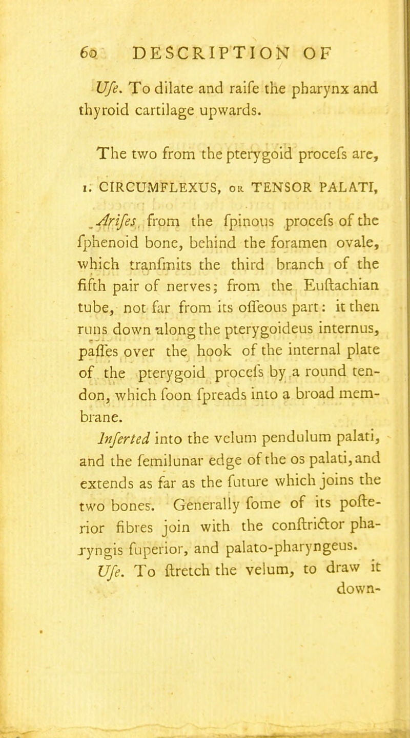 Ufe. To dilate and raife the pharynx and thyroid cartilage upwards. The two from the pterygoid procefs are, V. CIRCUMFLEXUS, oh. TENSOR PALA.Tr, Arifes, from the fpinous procefs of the fphenoid bone, behind the foramen ovale, which tranfmits the third branch of the fifth pair of nerves; from the Euftachian tube, not far from its offeous part: it then runs down along the pterygoideus internus, pafles over the hook of the internal plate of the pterygoid procefs by a round ten- don, which foon fpreads into a broad mem- brane. Inferted into the velum pendulum palati, and the femilunar edge of the os palati, and extends as far as the future which joins the two bones. Generally fome of its pofte- rior fibres join with the conftri&or pha- jyngis fuperior, and palato-pharyngeus. Ufe. To ftretch the velum, to draw it down-