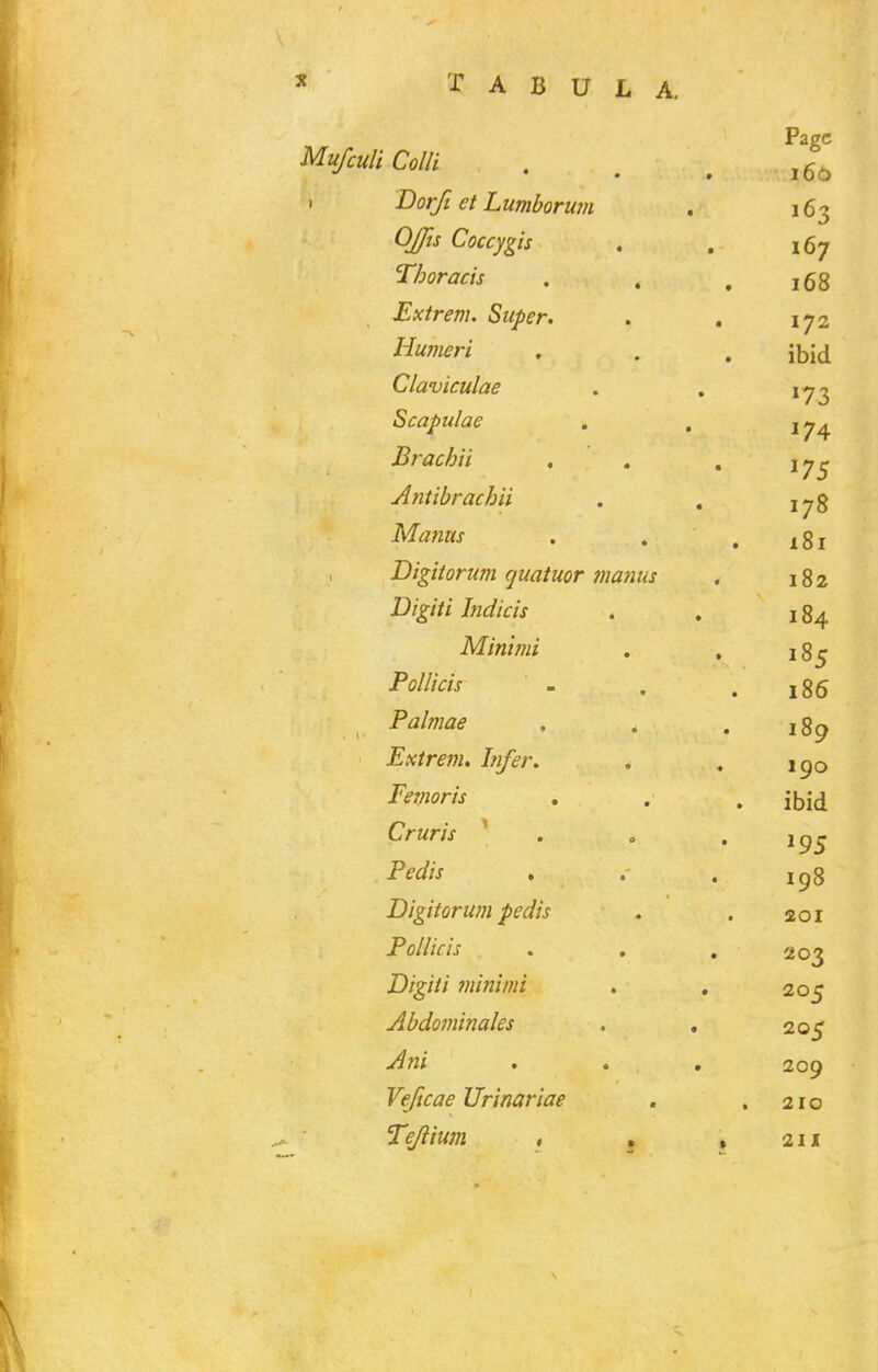 Mufculi Colli I Dorji et Lumborum Ojjis Coccygis , Thoracis . . Extrem. Super. Humeri Claviculae Scapulae Brachii Antibrachii Mamts Digitorum guatuor manus Digiti Indicis Minijiii Pollicis Palmae Extrem. Infer. Femoris . Cruris ^ Pedis Digitorum pedis Pollicis Digiti minimi Abdofuinales Ani Veficae Urinariae Tejlium , ,