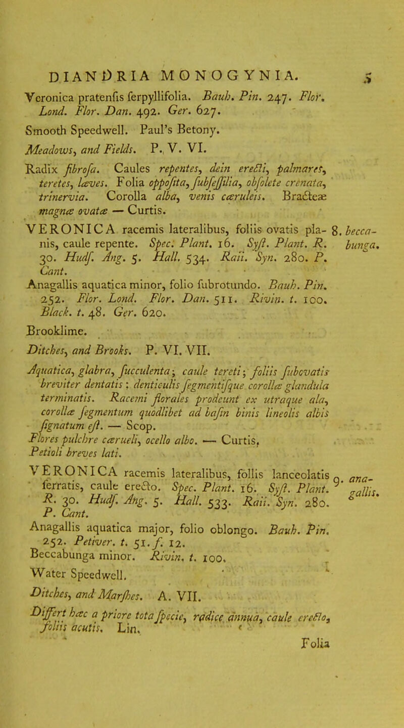 Vcronica pratenfis ferpyllifolia. Bauh. Pin. 247. Flor. Lond. Flor. Dan. 492. Ger. 627. Smooth Speedwell. Paul’s Betony. Meadows, and Fields. P., V. VI. Radix fibrofa. Caules repentes, dein erefli, palmares, teretes, laves. Folia oppofta, fubfefilia, obfolete crcnata, trinervia. Corolla alba, wm; caruleis. Bra&ea; magna ovata — Curtis. VERONICA racemis lateralibus, foliis ovatis pia- 8.becca- nis, caule repente. Spec. Piant. 16. Syjl. Piant. R, bunga. 30. Hudf. Ang. 5. Hali. 534. Rati. Syn. 280. P. Cant. Anagallis aquatica minor, folio fubrotundo. Bauh. Pin. 252. Flor. Lond. Flor. Dan. 511. Rivin. t. 100. Black, t. 48. Ger. 620. Brooklime. Ditcbes, and Brooks. P. VI. VII. Aquatica, glabra, jucculenta; caule tereti; foliis fubcvatii breviter dentatis : denticulis fegmchtifque corolla glandula terminatis. Racemi for ales prodeunt ex utraque ala, corolla fegmentum quodlibet ad bafin binis lineolis albis fignatum ef. — Scop. Flores pulchre carueli, ocello albo. — Curtis, Petioli breves lati. VERONICA racemis lateralibus, follis lanceolatis Q ferratis, caule eretto. Spec. Piant. 16. Syf. Piant. J R. 30. Hudf. Ang. 5. Hali. 533. Raii. Syn. 280. P. Cant. Anagallis aquatica major, folio oblongo. Bauh. Pin. 252. Petiver. t. 51 . f. 12. Beccabunga minor. Rivin. t. 100. Water Speedwell. ana- gallis. Ditches., and Marfes. A. VII. Diff! ^ac a Pr‘ore totafpecie, radice annua, caule ereflo, folns acutis. Lin. f '