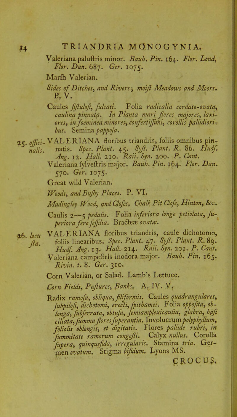 25- offici- nalis. 26. locu ' P- \ e TRIANDRIA MONOGYNIA, Valeriana paluftris minor. Bauh, Pin. 164. Flor. Lond, Flor. Dan. 687. Gcr. 1075. Marlh Valerian. Sides of Ditcbes, and Rivers; moijl Meadows and Moors. F. V. Caules fijlulofi, fulcati. Folia radicalia cordato-ovata, caulina pinnata. In Planta mari flores majores, laxi- ores, in foeminea minores, confertijfuhi, corollis pallidiori- bus. Semina pappofa. VALERIANA floribus triandris, foliis omnibus pinr natis. S/Vc. Piant. 45. tyy?. Piant. R. 86. •//«£. 12. Hali. aio. Sytf. 200. P. Cant. Valeriana fylvcftris major. Bauh. Pin. 164. Flor. Dan. 570. Ger. 1075. Great wild Valerian. Woods, and Bujhy Places. P, VI. Madingley Hood, and Clofes, Chalk Pit Clofe, Hmton, &c. Caulis 2—5 pedalis. Folia inferiora longe petiolata, fu- periora ferefeffdia. Bradlere ovata. VALERIANA floribus triandris, caule dichotomo, foliis linearibus. Spec. Piant. 47. Syfl. Piant. R. 89. Hudf. Ang. 13. Hali. 214. Raii. Syn. 201. P. Cant. Valeriana campeftrls inodora major. Baub. Pin. 165. Rivin. t. 8. Ger. 310. Corn Valerian, or Salad. Lamb’s Lettuce. iCorn Fields, Paflures, Banks. A. IV. V, Radix ramofa, obliqua, fliformis. Caules quadrangulares, fubpiloft, dicbotomi, ercdii, fpithamci. Folia oppofita, ob- longa, fubferrata, obtufa, femiamplexicaulia, glabra, Z>^/< ciliata,fummafloresfuperantia. \nvo\ucrumpolyphyllum, foliolis oblongis, r/ digitatis. Flores pallide rubri, in fummitate ramorum congejli. Calyx nullus. Corolla fupera, quinqucfda, irregularis. Stamina tria. Ger- men ovatum. Stigma bifidum. Lyons MS. •  CROCUS.