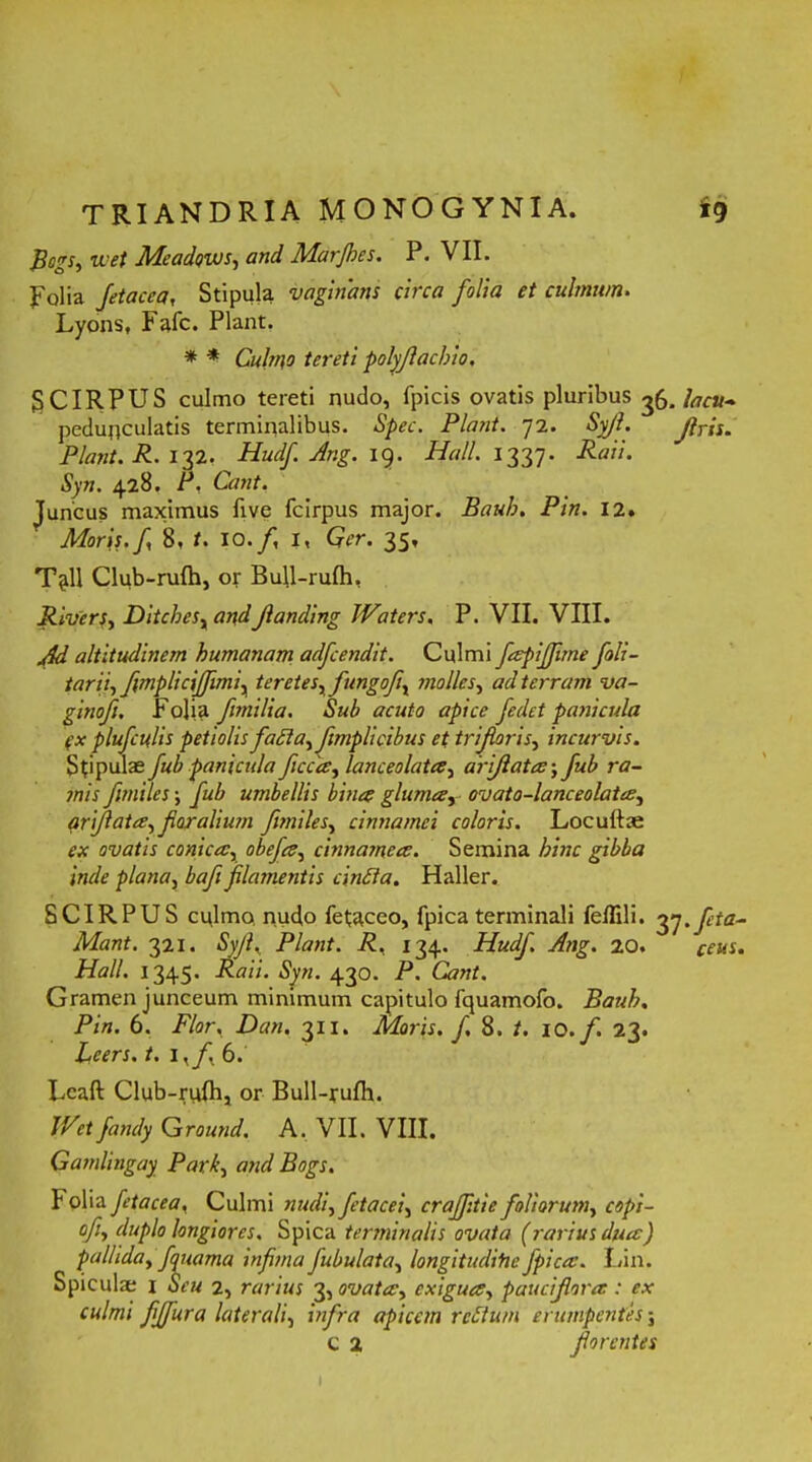 Bogs, wet Meadqws, and Marjhes. P. VII. polia fetacea, Stipula vaginam circa folia et culmum. Lyons, Fafc. Piant. * * Culmo tereti polyfachio. SCIRPUS culmo tereti nudo, fpicis ovatis pluribus facu- pedunculatis terminalibus. Spec. Piant. 72. Syfi. firis. Piant. R. 132. Hudf Ang. 19. Hali 1337. Raii. Syn. 428. P. Cant. Juncus maximus five fcirpus major. Bauh. Pin. 12. Moris, f 8, t. IO./, I, Ger. 35, T?l11 Club-rufb, or Bull-rulh, Rivers, Ditches, andJlanding Waters, P. VII. VIII. Jd altitudinem humanam adfcendit. Culmi fapijfime foli- tarii, fimplicifiimi, teretes^ fungo/i, molles, ad terram va- ginofi. Folia ftmilia. Sub acuto apice fedet panicula (x plufculis petiolis faSla, fimpli cibus et triferis, incurvis. Stipulas fub panicula ficca, lanceolata, arifata; fub ra- mis f miles; fub umbellis bina glumar ovato-lanceolata, arifata, flor aliujn fimiles, cinnamei coloris. Locufbe ex ovatis conica, obefa, cinnamea. Semina hinc gibba inde plana, baf filamentis cinEla. Haller. SCIRPUS culmo, nudo fetaceo, fpica terminali feflili. 37.fita- Mant. 321. Syjl. Piant. R, 134. Hudf. Ang. 20. ceus. Hali. 1345. Raii. Syn. 430. P. Cant. Gramen junceum minimum capitulo fquamofo. Bauh. Pin. 6. Flor. Dan. 311. Moris, f. 8. /. 10./. 23. Lcers. t. 1,/ 6. Lcaft Club-ruih, or Bull-rufh. Wet fandy Ground. A. VII. VIII. Gamlingay Paxk, and Bogs. loliafetacea, Culmi nudi,fetacei, craffitiefoliorum, copi- ofi, duplo longiores. Spica terminalis ovata (rarius dua) pallida, fquama infima fubulata, longitudine fpica. Lin. Spicula; 1 Seu 2, rarius 3, ovata, exigua, paucifiora : ex culmi fijjura laterali, infra apicem reEium erumpentes;