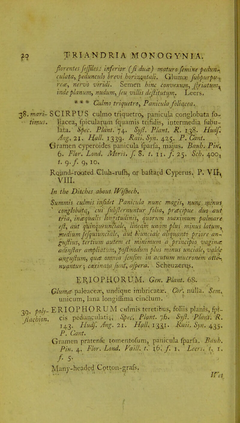 foventes fe files.: inferior (fi dua) maturo femine pedun* culata, pedunculo brevi hqrizqntali. Glumae fubpurpu rea:, nervo viridi. Semen hinc convexum, friatum^ inde planum, nudum, (eu villis defit ut um. Leers. * * * 'Culmo triquetro, Panicula foliqcea. 2$. mari- SCIRPUS culmo triquetro, panicula conglobata fo- timus. liacea, fpicularum fquamis trifidis, intermedia Tubu- lata. Spec. Piant. 74. Syf. Piant. R. 128. Hudf. 11. Hali. 1339. Raii. Syn. 425. P.Cant. Gramen Cyperoides panicula ifparfa, majus. Baub. Pin\ 6. Flor. Lond. Moris, f. 8. t. 11. f. 25. Seh. 400, t. 9./. 9, 10. Rqund-rooted Cluh-rufh, or baftard Cyperus. P. VII, VIII, ' In the Ditches about. IFifhech, Summis culmis infidet Panicula nunc magis, nunc minus conglobate^ cui fubf emuntur folia, praecipue duo aut tria, inaequalis longitudinis, quorum maximum palmare ef, aut qUinqueunciale, /ineam unam plus minus latum, medium fefquiunciale, aut biuncialc aliquanto priore an- gu/lius, tertium autem et mininium a 'principio vaginar adinfar ampliatum, 'pojlmodum plus minus unciale, valde a.ngufutn, qua omnia fenfini in acutum mucronem attee, nuantur; carinata fuit', afpera. Scheuzeru,s. gRIOP.HQRU.M. Gen. Piant. 68. ' • • . * Qlumcs paleaceae, undique imbricatae. Cor, nulla. Sem, unicum, lana longiffima cinctum. 30. poly- ERIOPHQRUM culmis teretibus, foliis planis, fpf- ^/iachion. cis pcdanculati*, Spec, Piant. 7.6. Syf. Plani. R. 143. Hudf. Ang. 21. Hali, 133.1* Raii. Syn. 435. P. Cant. Gramen pratenfe tomentofum, patiicula fparfa. Baub. Pin. 4. Flor. Lond. Vaill. tl x6, f x. Leers. t, x. /• 5- jyiany-hcadpd Cptton-grafs.