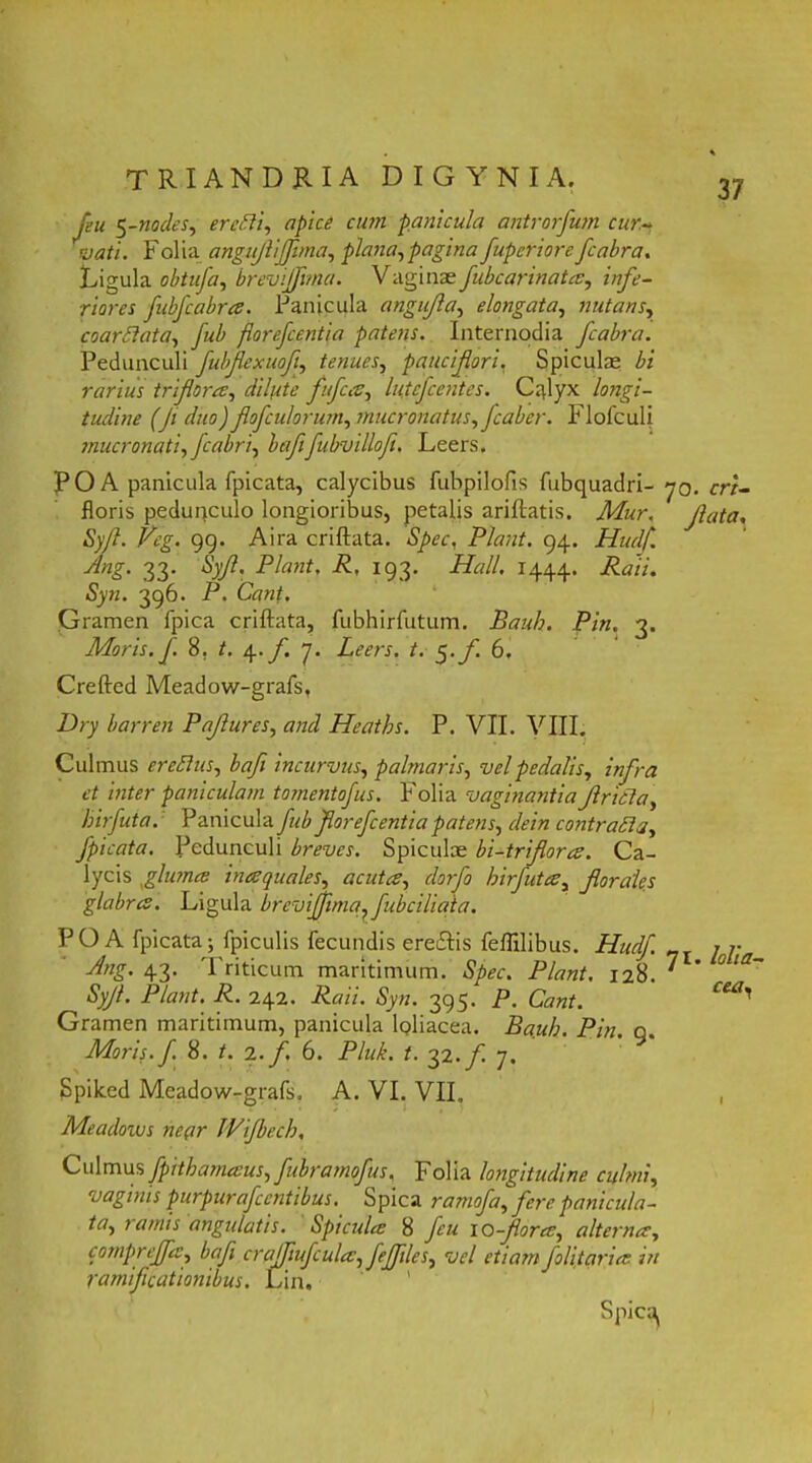 TRIANDUIA D I G Y N I A. Jeu ynodes, eredli, apice cum panicula antrorfian cur- vati. Folia angujliffuna, plana,pagina fupcriore fcabra. Ligula obtufa, brevi fima. Vaginae fubcarinata, zw/v- r/azvr fubfcabra. Panicula angujla, elongata, nutans, coardlata, fub florefcentia patens. Internodia fcabra. Pedunculi fubfexuofi, tenues, paucifori. Spiculas bi rarius trifera, dilute fufea, lutefeentes. Calyx longi- tudine (f duo) flofculorum, mucronatus, fcabcr. Flofculi mucronati, fcabri, bafifubvillofi. Leers. POA panicula fpicata, calycibus fubpilofis fubquadri- 70. crt- floris peduqculo longioribus, petalis ariftatis. Af«r. yfota, <Sy/?. Vcg. 99. Aira criftata. Piant. 94. Hudf. Ang. 33. <Sy/?. P/azzf, P, 193. Hali. 1444. Pati. Syn. 396. P. Cz?zz^. Gramen fpica criftata, fubhirfutum. Bauh. Pin. 3. Moris, f. 8. t. 4. f 7. Leers. t. ^.f. 6. Crefted Meadow-grafs, Dry barren Paflures, and Heaths. P. VII. VIII. Culmus eredlus, bafi incurvus, palmaris, vel pedalis, infra et inter paniculam tomentofus. I olia vaginantiafricta, hirfuta. Panicula fub forefeentia patens, dein contradia, fpicata. Pedunculi breves. Spiculae bi-triflora. Ca- lycis gluma inaequales, acuta, clorfo hirfuta, f orales glabra. Ligula brevijjima, fubciliaia. PO A fpicata; fpiculis fecundis ereiftis feflilibus. Hudf _ 1 j- Ang. 43- Triticum maritimum. Spec. Piant. 128. ' ' Syjl. Piant. R. 242. Raii. Syn. 395. P. Cant. Gramen maritimum, panicula Miacea. Bauh. Pin. q. Moris, f. 8. t. 2. f. 6. Pluk. t. 32. f. 7. Spilced Meadow-grafs. A. VI. VII. Meadows nc(ir JVifbech, Culmusfpithamaus,fibramofus. Folia longitudine culmi, vaginis purpurafccntibus. Spica ramofa,fere panicula- ta, ramis angulatis. Spicula 8 feu 10-fora, alterna, compreffa, bafi crajfufcula, feffiles, vel etiamfoliten •ia in ramificationibus. Lin. ’ Spica cea.