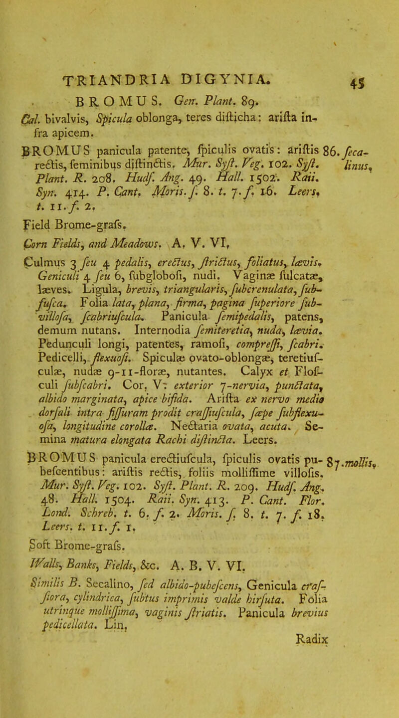 B R O M U S. Gen. Piant. 89. Cal. bivalvis, Spicula oblonga, teres diftjcha: arifta in- fra apicem. BROMUS panicula patente, fpiculis ovatis: ariftis S6.feca~ redtis, feminibus diftindtis. Mur. Syjl. Veg. 102. Syf. Unus, Piant. R. 208. Hudf. Ang. 49. Hali. 1502'. Rati. Syn. 414. P. Cantf Moris. J. 8. t. 7. f 16. Leers. t. 11. f. 2. Field Brome-grafs, Corn Fields, and Meadows. A. V. VI, Culmus 3 feu 4 pedalis, erefius, firiflus, foliatus, lavis. Geniculi 4 feu 6, fubglobofi, nudi. Vaginae fulcatae, laeves, Ligula, brevis, triangularis, fubcrenulata, fub- fufca. Folia lata, plana, firma, pagina fuperiore fub- 'villofa, fcabriufcula, Panicula femipedalis, patens, demum nutans. Internodia femiteretia, lavia. Pedunculi longi, patentes, ramofi, comprejfi, fcabri. Pedicelli,.fiexuof, Spicula; ovato-oblongae, teretiuf- culae, nudae 9-11-florae, nutantes. Calyx et Flof- culi Jiibfcabri. Cor. Vr exterior 7-nervia, punftata, albido marginata, apice bifida. Arifta nervo jnedio dorfali intra fijfuram prodit crajfiufcula, fiepe fubjlexu~ ofa, longitudine corolla. Nedtaria ovata, acuta. Se- mina matura elongata Racbi diflinBa. Leers. BROMUS panicula ere&iufcula, fpiculis ovatis pu- mollis befcentibus: ariftis redtis, foliis molliflime villofis. Mur. Syfi. Veg. 102. Syf. Piant. R. 209. Hudf. Ang. 48. Hali. 1504. Raii. Syn. 413. P. Cant. Flor. Lond. Schreb. t. 6. f. 2. Moris, f, 8. t. 7. f. 18. Leei's. t. II. f I. jSoft Brome-grafs. IVdis, Banks, Fields, &c. A. B. V. VI. Similis B. Secalino, fed albido-pubcfccns, Genicula cfaf- fiora, cylindrica, fubtus imprimis valde hirfuta. Folia utrinque mollijfitna, vaginis friatis. Panicula brevius pedicellata. Lin,