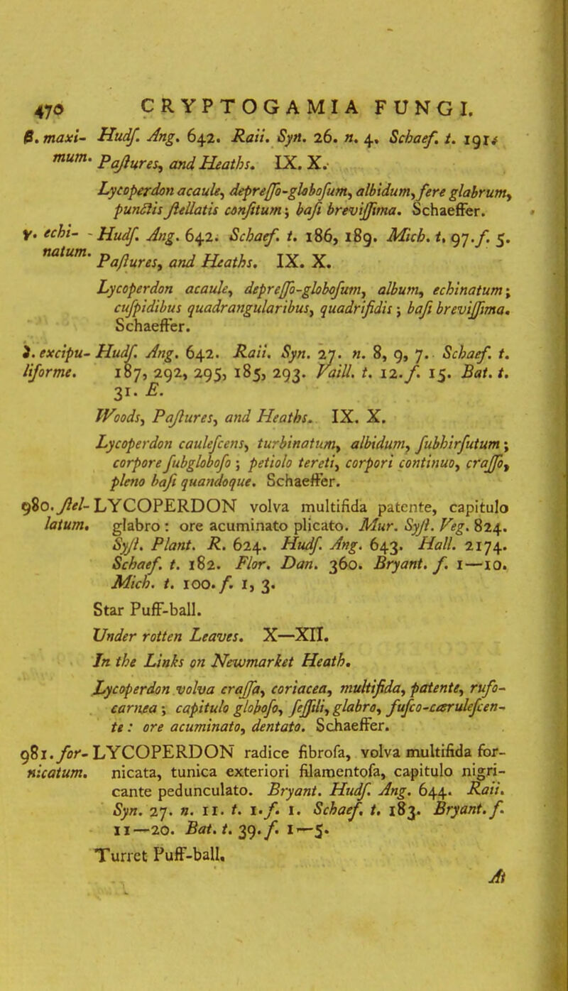 $.maxi- Hudf. Ang. 642. Raii. Sytt. 26. ». 4. Schaef. t. 1 gi; mum- Pajlures,, W Heaths. IX. X, Lycoperdon acaule, deprejfo-glebofum, albidum, fere glabrum, punclisJlellatis conjitum j brevijfima. Schaeffer. V. echi- - Hudf. Ang. 642. Schaef. t. 186, 189. .MVA. *, 97./. 5. «*/«;«. w IX. X. Lycoperdon acaule, deprefo-globofum, album, echinatum; cufpidibus quadrangularibus, quadrifidis; bafi brevijfima. Schaeffer. i. excipu- Hudf. Ang. 642. Raii. Syn. 27. «. 8, 9, 7. Schaef. t. liforme. 187, 292, 295, 185, 293. /'tf/V/. t. 12./. 15. Bat.t. 31. P- Woods, Pajlures, Heaths. IX. X. Lycoperdon caulefcens, turbinatum, albidum, fubhirfutum; corpore fubglobofo ; petiolo tereti, corpori continuo, craffo, pleno bafi quandoque. Schaeffer. 980.y?*/- LYCOPERDON volva multifida patente, capitulo latum, glabro: ore acuminato plicato. Afwr. Sjy?. Veg. 824. £}//. Piant. R. 624. Hudf. Ang. 643. Hali. 2174. Schaef. t. 182. jF/or. 360. Bryant. f. 1—10. Mich. t. 100./. I, 3. Star PufF-ball. Under rotten Leaves. X—XII. /« the Links on Newmarket Heath. Lycoperdon volva craffa, coriacea, multifida, patente, rufo- carnea ; capitulo globofo, fejfili, glabro, fufco-carulefcen~ te: ore acuminato, dentato. Schaeffer. JZx.for- LYCOPERDON radice fibrofa, volva multifida for- nicatum. nicata, tunica exteriori filamentofa, capitulo nigri- cante pedunculato. Bryant. Hudf. Ang. 644. Raii. Syn. 27. n. n. t. \.f. 1. Schaef, t. 183. Bryant. f. 11—20. Bat.t. 39.f. l<— 5. Turret Puff-ball, jflf