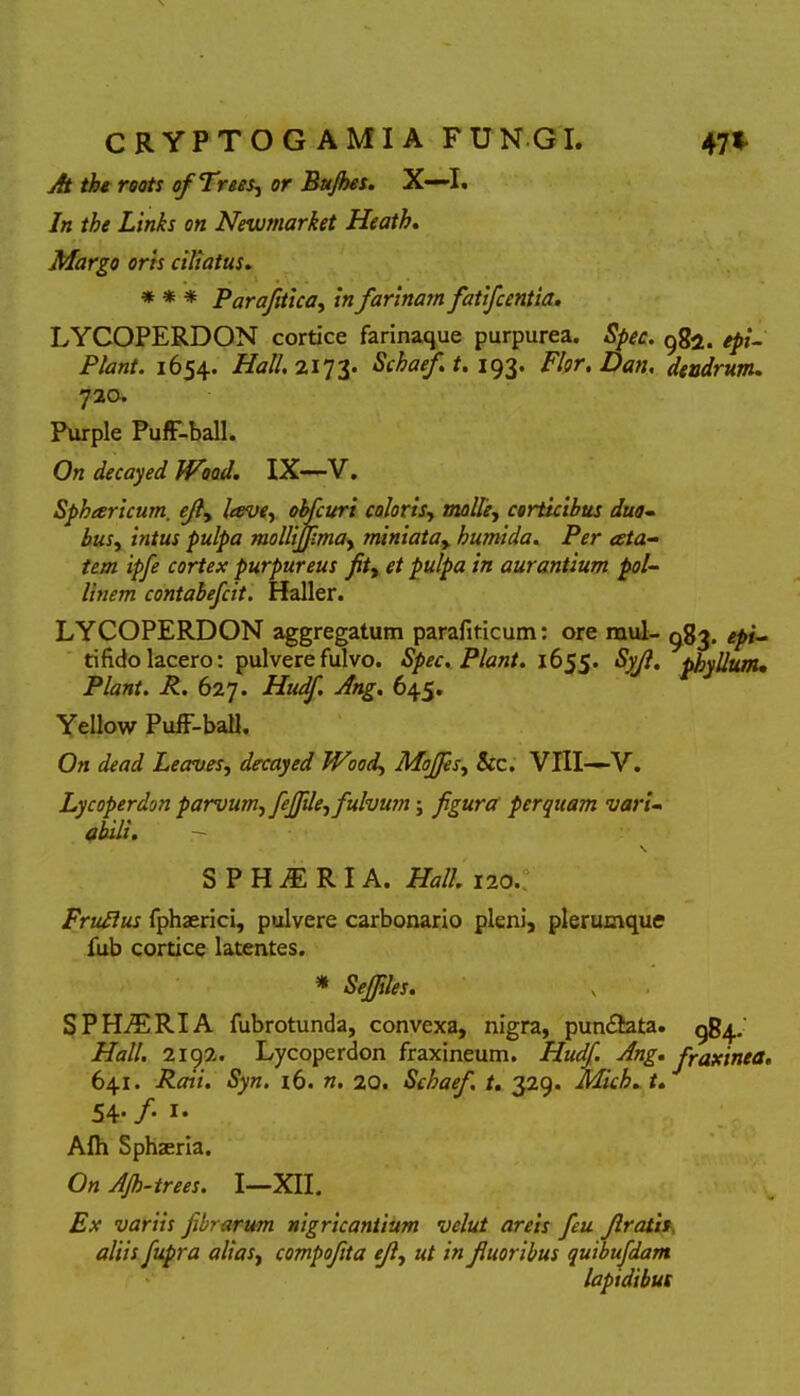 At the roots ofTrees, or Bujhes. X—I. In the Links on Newmarket Heath. Margo oris ciliatus. * * * Parafitica, in farinam fatifcentia. LYCOPERDON cortice farinaque purpurea. Spec. 982. epi- Plant. 1654. Hali. 2173. Schaef. t. 193. Flor. Dan. dendrum. 720. Purple PufF-ball. On decayed JVoad. IX—V. Sphtericum. ejl, lave, obfuri coloris, malle, corticibus dua- bus, intus pulpa molliJfmay miniatay humida. Per ata- tem ipfe cortex purpureus fity et pulpa in aurantium pol- litiem contabefcit. Haller. LYCOPERDON aggregatum parafiticum: ore mul- 983. epi~ ti fido lacero: pulvere fulvo. Spec. Piant. 1655. <S^/?. phyllum. Piant. iL 627. Hudf. Ang. 645. Yellow PufF-ball. On dead Leavesy decayed Wood, Moffsy &c. VIII—V. Lycoperdon parvum, fejfle, fulvum; figura perquam vari- abili. \ S P H iE R I A. Hali. 120. Fruflus fphaerici, pulvere carbonario pleni, plerumque fub cortice latentes. * Sejfiles. SP FLERI A fubrotunda, convexa, nigra, pun&ata. 984. Hali. 2192. Lycoperdon fraxineum. Hudf. Ang. fraxinea. 641. Rati. Syn. 16. n, 20. Schaef. t. 329. Mich. /. 54. f. 1. Afh Sphaeria. 0« Ajh-trees. I—XII. Ex variis fibrarum nigricantium velut areis fu f ratis aliis fupra aliasi compofita efy ut in fluoribus quibufdam lapidibus
