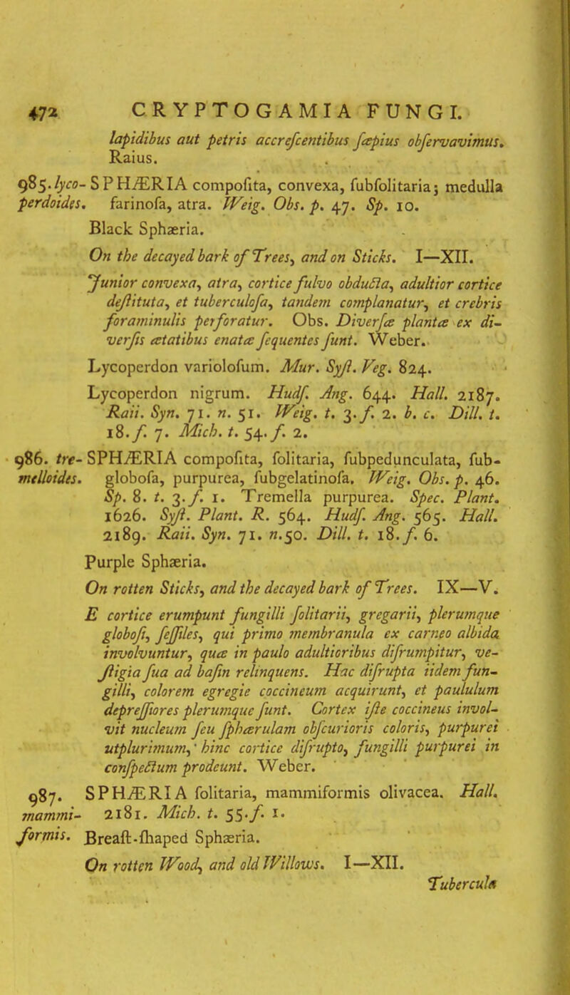 lapidibus aut petris accrefcentibus fapius obfervavimus. Raius. 985. /yco- S P HiFRIA compofita, convexa, fubfolitaria; medulla perdoides. farinofa, atra. Weig. Obs. p. 47. Sp. xo. Black Sphaeria. On tbe decayedbark ofTrees, and on Sticls. I—XII. “Junior convexa, atra, cortice fulvo obdutta, adultior cortice dejlituta, et tuberculofa, tandetn complanatur, et crebris foraminulis perforatur. Obs. Diverfa planta ex di- verfts atatibus enata fcquentes funt. Weber. Lycoperdon variolofum. Mur. Syf. Veg. 824. Lycoperdon nigrum. Hudf Ang. 644. Hali. 2187. Raii. Syn. 71. n. 51. Weig. t. 3./. 2. b. c. Dill. t. 18. f. 7. Micb. t. 54. f. 2. 986. tre- SPH7ERIA compofita, folitaria, fubpedunculata, fub- mtlloides. globofa, purpurea, fubgelatinofa, Weig. Obs. p. 46. Sp. 8. t. 3./. 1. Tremella purpurea. Spec. Piant. 1626. Syji. Piant. R. 564. Hudf. Ang. 565. Hali. 2189. Raii. Syn. 71. n.50. Dill. t. 18./. 6. Purple Sphaeria. On rotten Sticks, and tbe decayed bark ofTrees. IX—V. E cortice erumpunt fungilli folitarii, gregarii, plerumque globofi, feffiles, qui primo membranula ex carneo albida involvuntur, qua in paulo adultioribus difrumpitur, ve- Jligia fua ad bafin relinquens. Hac difrupta Udem fun- gilli., colorem egregie coccineum acquirunt, et paululum dcprejfiores plerumque funt. Cortex ife coccineus invol- vit nucleum feu fpharulam obfcurioris coloris, purpurei utplurimum,' hinc cortice difrupto, fungilli purpurei in confpeftum prodeunt. Weber. 987. SPH7ERIA folitaria, mammiformis olivacea. Hali, inammi- 2181. Micb. t. 55‘ f *• formis. Breaft-fhaped Sphaeria. On rotten Wood, and old Willoivs. I—XII. Tubercula