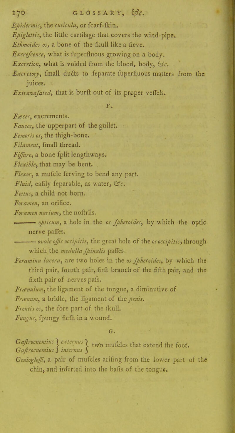 Epidermis, the cuiicula, or fcarf-fkin. Epiglottis, the little cartilage that covers the wind-pipe. Ethmoides os, a bone of the fkull like a fieve. Excrefcence, what is fuperfluous growing on a body. Excretion, what is voided from the blood, body, &c. Excretory, fmall duels to feparate fuperfluous matters from the juices. Extravafatcd, that is burft out of its proper veflels. F. Facer, excrements. Fauces, the upperpart of the gullet. • Femoris os, the thigh-bone. ' Filament, fmall thread. Fijfure, a bone fplit lengthways. Flexible, that may be bent. Flexor, a mufcle ferving to bend any part. Fluid, eafily feparablc, as water, &c. Fatus, a child not born. Foramen, an orifice. Foramen uarium, the noftrils. ■ optician, a hole in the os fpheroides, by which the optic nerve pafles. ovale ojfis occipitis, the great hole of the os occi/iitu, through which the medulla J/iinalis partes. Foramina lacera, are two holes in the os fphcraides, by which the third pair, fourth pair, firft branch of the fifth pair, and the fixth pair of nerves pafs. Frenulum, the ligament of the tongue, a diminutive of Frarnum, a bridle, the ligament of the penis. Frontis os, the fore part of the fkuli. Fungus, fpungy flefli in a wound. G. Gajlrocnemius 1 cxtcrnus 1 ^ m ^ fo^ Gajlrocnemius ) internus j Gemoglojfi, a pair of mufcles arifing from the lower part of the chin, and inferled into the bafis of the tongue.