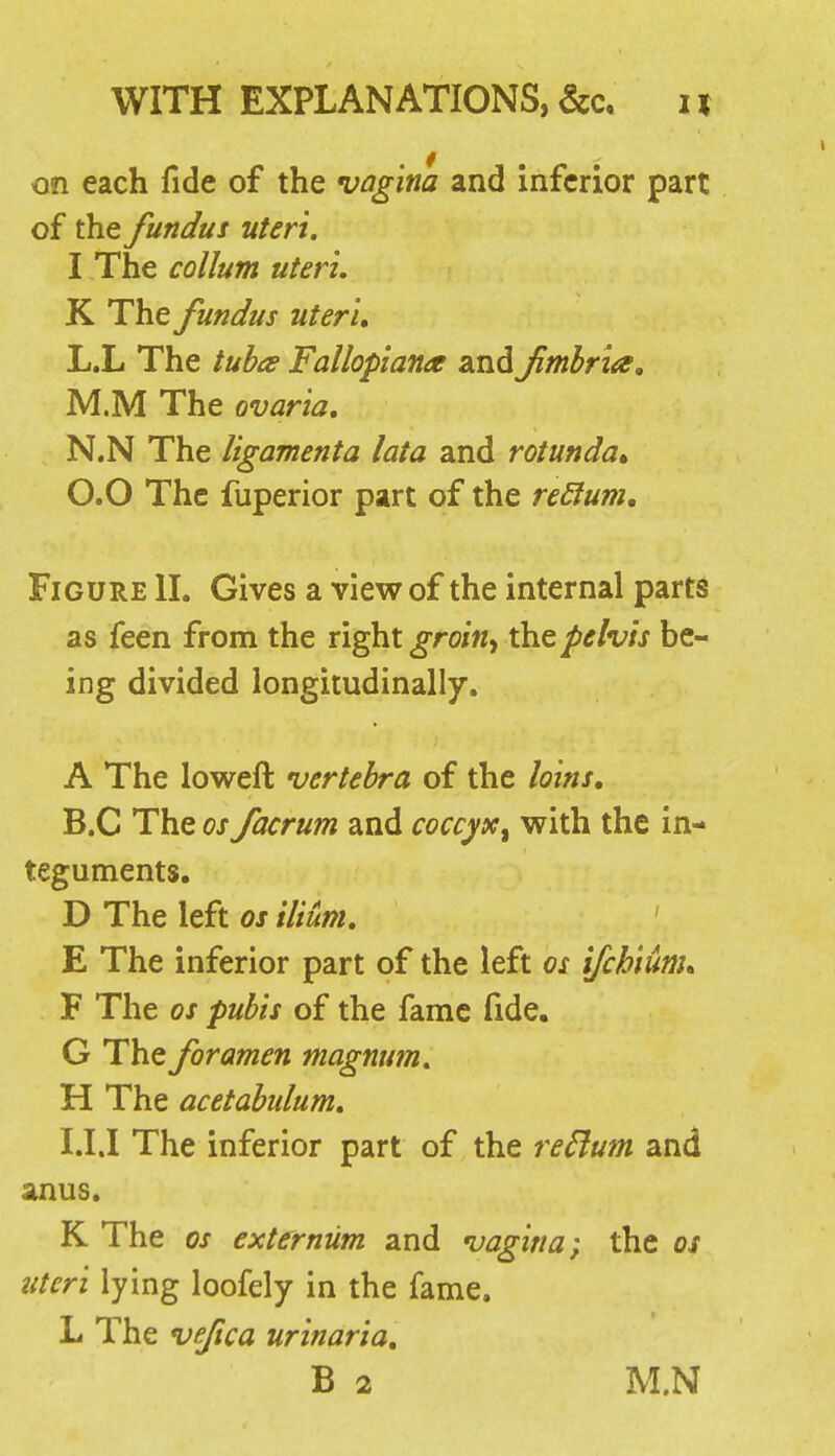 on each fide of the vagina and inferior part of the fundus uteri. I The collum uteri, K The fundus uteri, L.L The tuha Fallopiana andfmhria, M.M The ovaria, N.N The ligamenta lata and rotunda* O.O The fuperior part of the re£lum. Figure II. Gives a view of the internal parts as feen from the right groin^ the pelvis be- ing divided longitudinally. A The loweft vertebra of the loins, B.C The OS facrum and coccyx^ with the in- teguments. D The left as ilium, ' E The inferior part of the left os ifchiunu F The OS pubis of the fame fide. G The foramen magnum, H The acetabulum, I.I.I The inferior part of the reSlum and anus. K The OS externum and vagina) the os uteri lying loofely in the fame. L The ve/ica urinaria, B 2 M.N