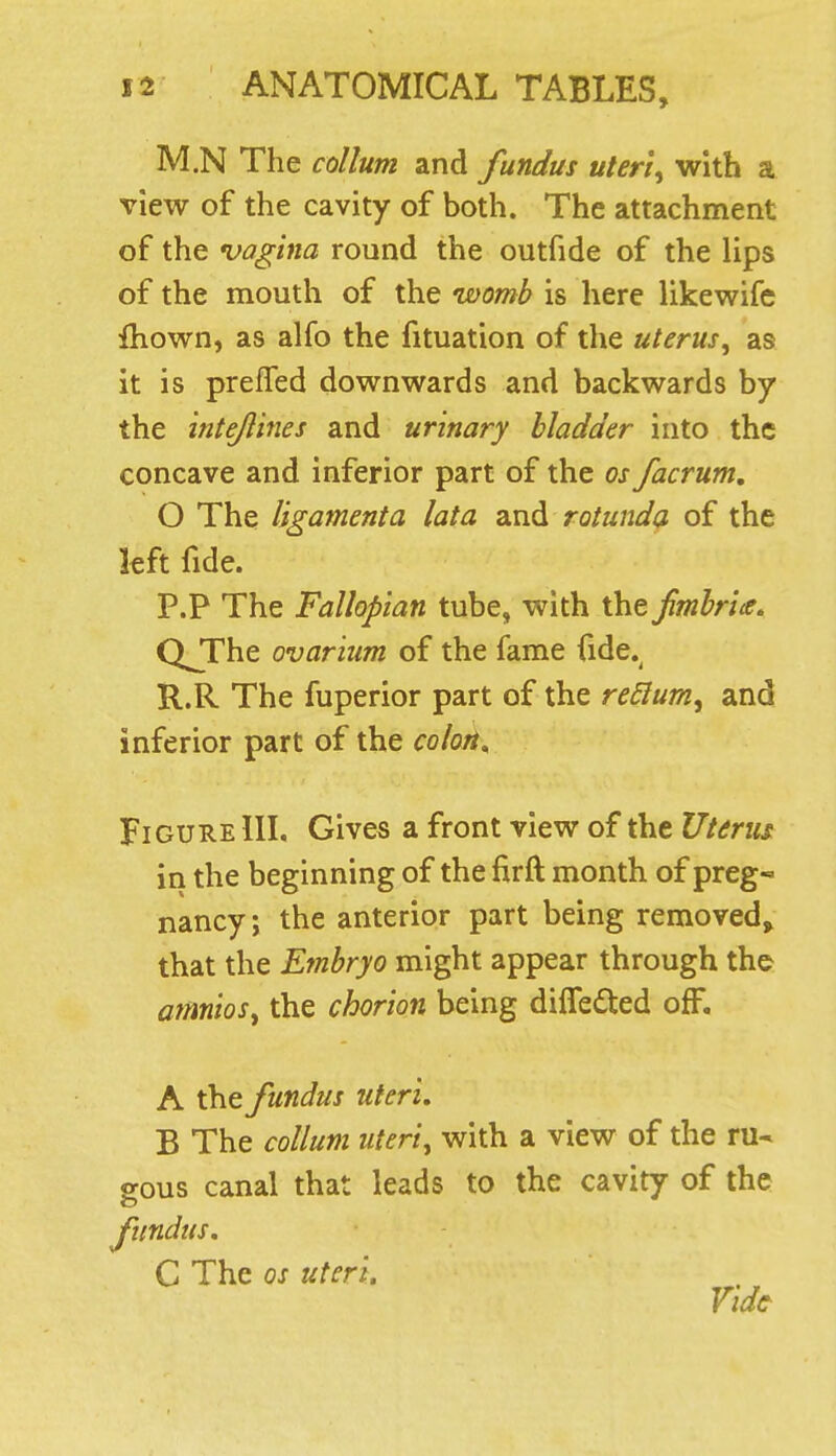 M.N The collum and fundus uteris with a view of the cavity of both. The attachment of the vagina round the outfide of the lips of the mouth of the womb is here likewife fhown, as alfo the fituation of the uterus, as it is preffed downwards and backwards by the intejlines and urinary bladder into the concave and inferior part of the os facrum, O The ligamenta lata and rotunda of the left fide. P.P The Fallopian tube, with the fimbria. QJThe ovarium of the fame fide.^ R.R The fuperior part of the reSium^ and inferior part of the colort^ Figure III. Gives a front view of the Uterus in the beginning of the firft month of preg- nancy; the anterior part being removed, that the Embryo might appear through the amnioSy the chorion being difledted off. A the fundus uteri, B The collum uteri, with a view of the ru- gous canal that leads to the cavity of the fundus. C The OS uteri. Vide