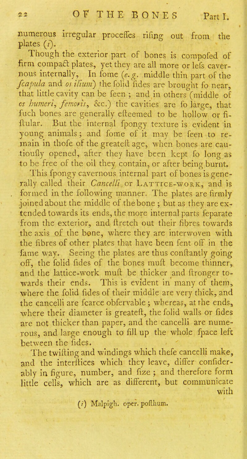 numerous irregular proceffes rifing out from the plates (/). Though the exterior part of bones is compofed of firm compadl plates, yet they are all more or lefs caver- nous internally, Infome(^. ^^. middle thin part of the fcapula and os il'mvi) the folid fides are brought fo near, that little cavity can be feen ; and in others (middle of OS humeri, femoris, &c.) the cavities are fo large, that fuch bones are generally efteemed to be hollow or fi- bular. But the internal fpongy texture is evident in young animals; and fome of it may be feen to re- main in thofe of the greatell age, when bones are cau- tioufly opened, after they have been kept fo long as to be free of the oil they contain, or after being burnt. This fpongy cavernous internal part of bones is gene- rally called their CayueUi.ox Lattice-work, and is formed in the following manner, The plates are firmly joined about the middle of thebone ; but as they are ex- tended towards its ends, the more internal parts feparate from the exterior, and ftretch out their fibres towards the axis of the bone, where they are interwoven with the fibres of other plates that have been fent off in the fame way. Seeing the plates are thus conftantly going off, the folid fides of the bones mud become thinner, and the lattice-work mufl be thicker and ftronger to- wards their ends. This is evident in many of them, where the folid fides of their middle are very thick, and the cancelli are fcarce obfervable ; whereas, at the ends, where their diameter is greateft, the folid walls or fides are not thicker than paper, and the cancelli are nume- rous, and large enough to fill up the whole fpace left between the fides. .  The twifting and windings which thefe cancelli make, and the interiUces which they leave, differ confider- ably in figure, number, and fize ; and therefore form little cells, which are as different, but communicate with (/) Malpigh. oper. poflhum.