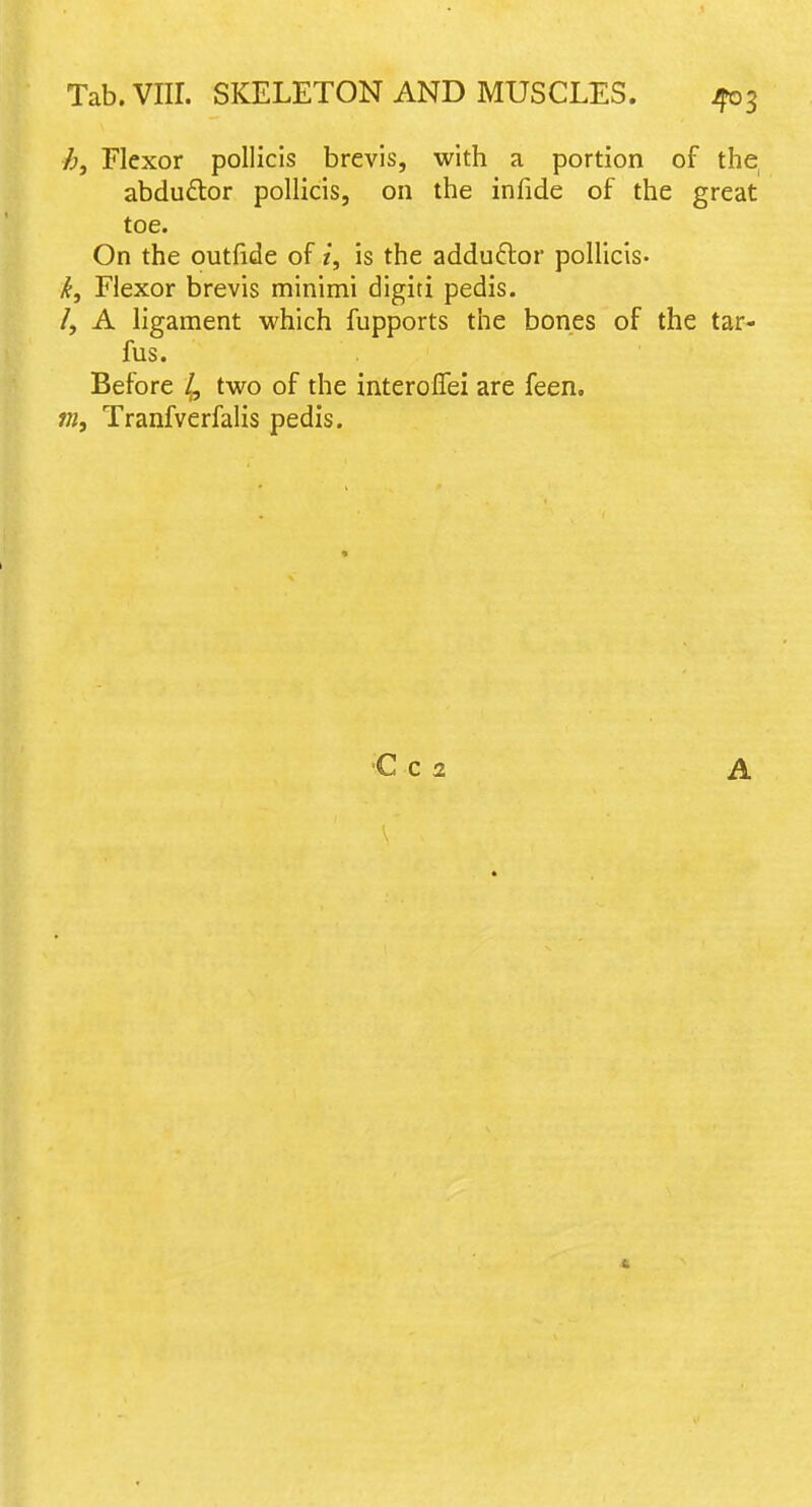 Flexor pollicis brevis, with a portion of the abduftor pollicis, on the infide of the great toe. On the outfide of i, is the adduftor pollicis. k. Flexor brevis minimi digiti pedis. /, A ligament which fupports the bones of the tar- fus. Before 4 two of the interoffei are feen. m, Tranfverfalis pedis. ■C