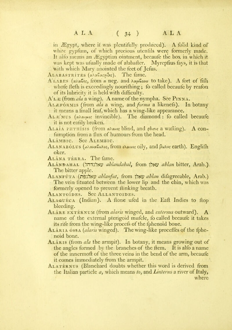 in iEgypt, where it was plentifully produced). A folid kind of white gypfiim, of which precious utenfils were formerly made. It alio means an Egyptian ointment, becaufe the box in which it was kept was ufually made of alabafter. Myrepfius fays, it is that with which Mary anointed the feet of Jefus. Alabastiutes (u.ho>£xr%i\rlc). The fame. A'labes («>.«g-/;r, from a. neg. and XxyScwu to take). A fort of frfli whole flefh is exceedingly nourifhing; fo called becaufe by reafon of its lubricity it is held with difficulty. A'l.e (from ala a wing). A name of the nympha. See Pinna. Al>ef6rmis (from ala a wing, and forma a likenefs). In botany it means a in)all leaf, which has a wing-like appearance. Alje'mus (aXaiM-o? invincible). The diamond : fo called becaufe it is not eafity broken. Alaia phthisis (from a>.ato? blind, and 9610-1? a wafting). A con- fumption from a flux of humours from the head. Alambic See Alembic. Alanabolus (jc?.xm€uhot;, from £.\«^o? oily, and j3wXo? earth). Englifh okcr. Alana terra. The fame. Alandahal (m^xy ahlandahal, from I^Ny ahlan bitter, Arab.) The bitter apple. Alanputa (nD^^y ahlajrfut, from f?Ny ahlan difagreeable, Arab.) The vein fituated between the lower lip and the chin, which was formerly opened to prevent ltinking breath. Alantoides. See Allantoides. Alagueca (Indian). A Hone ufed in the Eaft Indies to ftop bleeding. Alare externum (from alarh winged, and extemus outward). A name of the external pterigoid mufcle, fo called becaufe it takes its rife from the wing-like procefs of the fphenoid bone. Alaria ossa (alaris winged). The wing-like procefles of the fphe- noid bone. Alaris (from ala the armpit). In botany, it means growing out of the angles formed by the branches of the ftem. It is alfo a name of the innermofl: of the three veins in the bend of the arm, becaufe it comes immediately from the armpit. Alaternus (Blanchard doubts whether this word is derived from the Italian particle a, which means to, and Lmterno a river of Italy, where