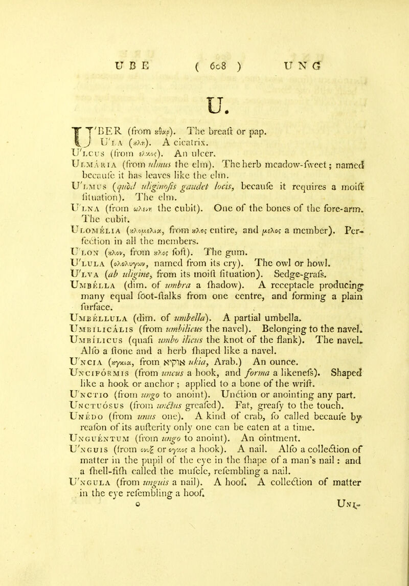 u. TT'BER (from xtizp). The breall or pap. 1[ J U'i a (s?,r,). A cicatrix. U'lcus (from vmc). An ulcer. Ulmakia (from ttlmus the elm). The herb meadow-fweet; named beer.afc it has leaves like the elm. U'lmus {quod uTigmofis gaudet lucis, becaufe it requires a moift iituation). The elm. U'lna (from u^n the cubit). One of the bones of the fore-arm. The cubit. Ulomelia (aA»p.£Xi^, from aAos entire, and pXo? a member). Per- fection in all the members. U'lox (aXov, from xXog foil). The gum. U'lula (oAoAuywi/, named from its cry). The owl or howl. U'lva (ab idlglne> from its moid fituation). Sedge-grafs. Umbella (dim. of -umbra a fhadow). A receptacle producing' many equal foot-fialks from one centre, and forming a plain furface. Umbellula (dim. of umbella). A partial umbella. Umbilicalis (from umbilicus the navel). Belonging to the navel. Umbilicus (quafi umbo Ulcus the knot of the flank). The naveL Alio a (lone and a herb fhaped like a navel. Unci a («y>a«, from Kpta ukla, Arab.) An ounce. Uxciformis (from uncus a hook, and forma a likenefs). Shaped like a hook or anchor ; applied to a bone of the wrifr. U'nctio (from ungo to anoint). Unction or anointing any part. Unctuosus (from unfflus grcafed). Fat, greafy to the touch. Unedo (from unus one). A kind of crab, fo called becaufe by> rcafon of its aufterity only one can be eaten at a time. Unguentum (from ungo to anoint). An ointment. Unguis (from ew/f? or oyxo? a hook). A nail. Alfo a collection of matter in the pupil of the eye in the fhape of a man's nail: and a (nell-fim called the mufclc, refembling a nail. U'xgula (from unguis a nail). A hoof. A collection of matter in the eye refembling a hoof. o Unt»