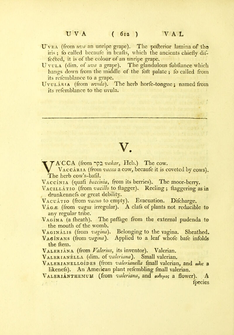 U'vea (from uva an unripe grape). The pofterior lamina of the iris ; fo called becaufc in bcafts, which the ancients chiefly dif- fered, it is of the colour of an unripe grape. U'vula (dim. of uva a grape). The glandulous fubflance which hangs clown from the middle of the foft palate ; fo called from its refemblance to a grape. Uvularia (from uvula). The herb horfe-tongue j named from its refemblance to the uvula. V. VA'CCA (from npn vakar, Heb.) The cow. Vaccaria (from vacca a cow, becaufe it is coveted by cows). The herb cow's-balil. Vaccinia (quafi baccinia, from its berries). The moor-berry. Vacillatio (from vacillo to ftagger). Reeling ; ftaggering as in drunkennefs or great debility. Vacuatio (from vacuo to empty). Evacuation. Difcharge. Vagve (from vagus irregular). A clafs of plants not reducible to any regular tribe. Vagina (a fheath). The paffage from the external pudenda to the mouth of the womb. Vaginalis (from vagina). Belonging to the vagina. Sheathed. Vaginans (from vagina). Applied to a leaf whofe bafe infolds the Item. Valeriana (from Valerius, its inventor). Valerian. Valerianella (dim. of Valeriana). Small valerian. Valerianelloides (from valerianella fmall valerian, and aJe? a likenefs). An American plant refembling fmall valerian. Valerianthemum (from valerianay and uvQspos a flower). A fpecies