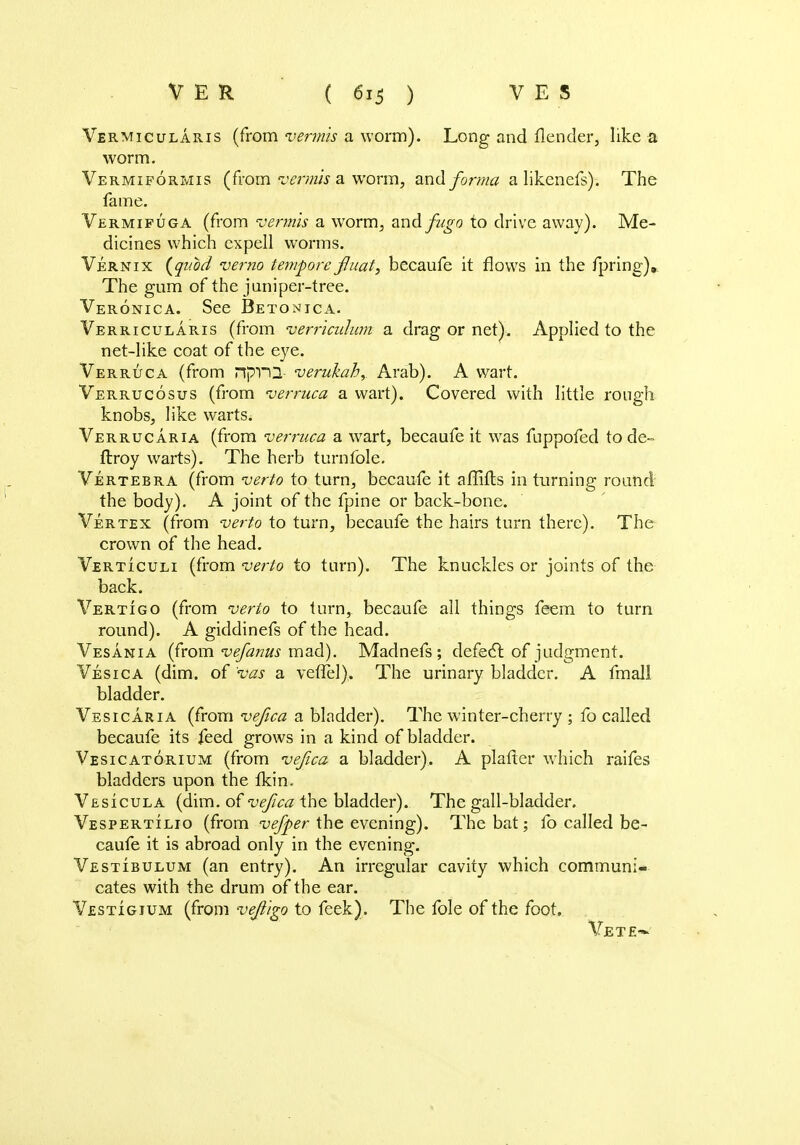 Vermicularis (from vermis a worm). Long and flender, like a worm. Vermiformis (from www a worm, and forma a likenefs). The fame. Vermifuga (from vermis a w7orm, and fugo to drive away). Me- dicines which expell worms. Vernix (quod verno tempore jffuat, becaufe it flows in the fpring). The gum of the juniper-tree. Veronica. See Betonica. Verricularis (from verricidum a drag or net). Applied to the net-like coat of the eye. Verruca (from npTU- verukah,. Arab). A wart. Verrucosus (from verruca a wart). Covered with little rough knobs, like warts^ Verrucaria (from verruca a wart, becaufe it was fuppofed to de- ftroy warts). The herb turnfole. Vertebra (from verto to turn, becaufe it affifts in turning round the body). A joint of the fpine or back-bone. Vertex (from verto to turn, becaufe the hairs turn there). The crown of the head. Verticuli (from verto to turn). The knuckles or joints of the back. Vertigo (from verto to turn, becaufe all things feem to turn round). A giddinefs of the head. Vesania (from vefanus mad). Madnefs ; defect of judgment. Vesica (dim. of vas a veflel). The urinary bladder. A fmall bladder. Vesicaria (from vejica a bladder). The winter-cherry ; fo called becaufe its feed grows in a kind of bladder. Vesicatorium (from vejica a bladder). A plafter which raifes bladders upon the fkim Vesicula (dim. of vejica the bladder). The gall-bladder. Vespertilio (from vejper the evening). The bat; fo called be- caufe it is abroad only in the evening. Vestibulum (an entry). An irregular cavity which communi- cates with the drum of the ear. Vestigium (from vejiigo to feek). The fole of the foot. Vete~