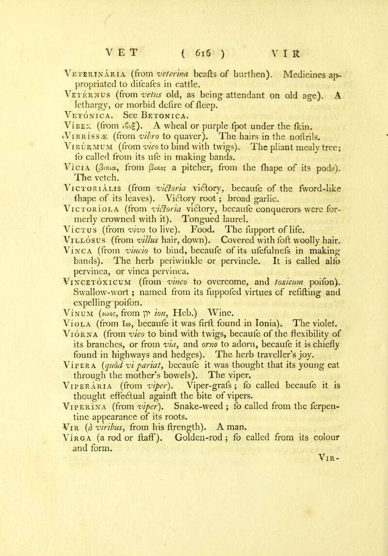 Veterinaria (from veterina beads of burthen). Medicines ap- propriated to difeafes in cattle. Veternus (from vetus old, as being attendant on old age). A lethargy, or morbid defire of fleep. Vetonica. See Betonica. Vibex (from »Su£). A wheal or purple fpot under the ikin. cVibriss^e (from vibro to quaver). The hairs in the noftrils. Viburmum (from vieo to bind with twigs). The pliant mealy tree; lb called from its ufe in making bands. ViciA (fifMK, from j3ucos a pitcher, from the fhape of its pods). The vetch. Victorialis (from v/doria victory, becaufe of the. fword-like fhape of its leaves). Victory root; .broad garlic. Victoriola (from vifloria viclory, becaufe conquerors were for- merly crowned with it). Tongued laurel. Victus (from vivo to live). Food. The fupport of life. Villosus (from villus hair, down). Covered with foft woolly hair. Vinca (from vincio to bind, becaufe of its ufefulnefs in making bands). The herb periwinkle or pervincle. It is called alfo pervinca, or vinca pervinca. Vixcetoxicum (from vinca to overcome, and toxicum poifon). Swallow-wort; named from its fuppofed virtues of refitting and expelling poifon. Vinum (omo;, from 1P ion, Heb.) Wine. Viola (from Uv, becaufe it was firft found in Ionia). The violet. Viorna (from vieo to bind with twigs, becaufe of the flexibility of its branches, or from via, and orno to adorn, becaufe it is chiefly found in highways and hedges). The herb traveller's joy. Viper a (quod vi ^ariat, becaufe it was thought that its young eat through the mother's bowels). The viper. Viper aria (from viper). Viper-grafs ; fo called becaufe it is thought effectual againft the bite of vipers. Viperina (from viper). Snake-weed ; fo called from the Terpen- tine appearance of its roots. Vir (a viribus, from his ftrength). A man. Virga (a rod or flafF). Golden-rod ; fo called from its colour and form. Vir-