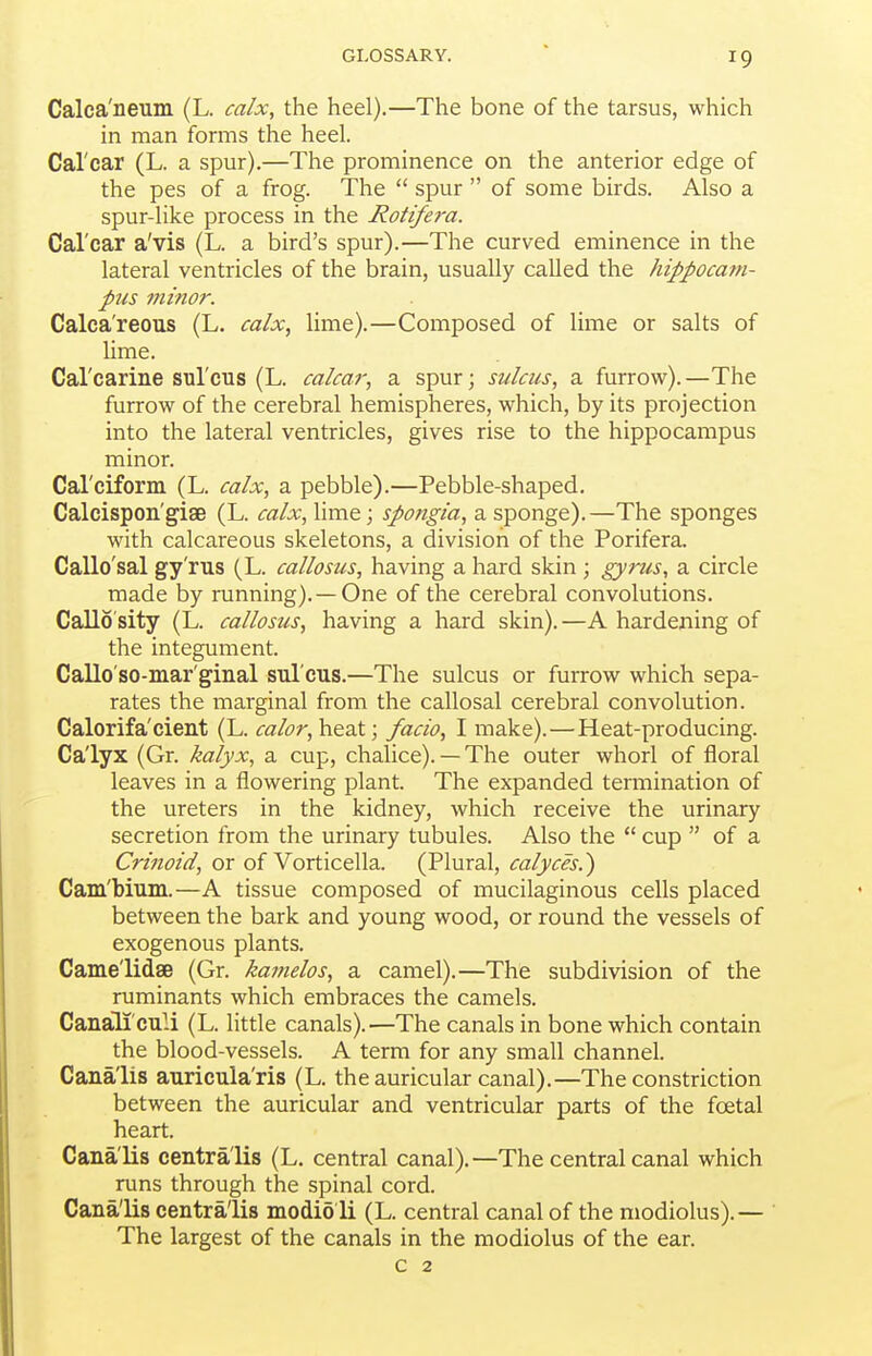 Calca'neum (L. calx, the heel).—The bone of the tarsus, which in man forms the heel. Cal'car (L. a spur).—The prominence on the anterior edge of the pes of a frog. The  spur  of some birds. Also a spur-like process in the Rotifera. Cal'car a'vis (L. a bird's spur).—The curved eminence in the lateral ventricles of the brain, usually called the hippocam- pus minor. Calca'reous (L. calx^ lime).—Composed of lime or salts of lime. Cal'carine sul'cus (L. calcar, a spur; sulcus, a furrow). —The furrow of the cerebral hemispheres, which, by its projection into the lateral ventricles, gives rise to the hippocampus minor. Cal'ciform (L. calx, a pebble).—Pebble-shaped. Calcispon'giae (L. calx, lime; spongia, a sponge).—The sponges with calcareous skeletons, a division of the Porifera. Callo'sal gy'ms (L. callosus, having a hard skin ; gyrus, a circle made by running). —One of the cerebral convolutions. Callo sity (L. callosus, having a hard skin).—A hardening of the integument. Callo'so-mar'ginal sul cus.—The sulcus or furrow which sepa- rates the marginal from the callosal cerebral convolution. Calorifa'cient (L. calor, heat; facio, I make).—Heat-producing. Calyx (Gr. kalyx, a cup, chalice). — The outer whorl of floral leaves in a flowering plant. The expanded termination of the ureters in the kidney, which receive the urinary secretion from the urinary tubules. Also the  cup  of a Crinoid, or of Vorticella. (Plural, calyces.') Cam'bium.—A tissue composed of mucilaginous cells placed between the bark and young wood, or round the vessels of exogenous plants. Came'lidae (Gr. kamelos, a camel).—The subdivision of the ruminants which embraces the camels. Canali'culi (L. little canals).—The canals in bone which contain the blood-vessels. A term for any small channel. Cana'lis auricula'ris (L. the auricular canal).—The constriction between the auricular and ventricular parts of the foetal heart. Cana'lis centralis (L. central canal).—The central canal which runs through the spinal cord. Cana'lis centralis modio li (L. central canal of the modiolus).— The largest of the canals in the modiolus of the ear. c 2