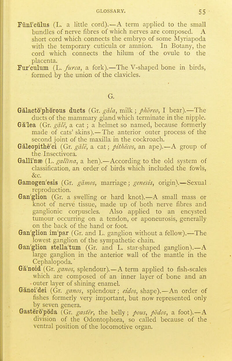 Fimi'cuius (L. a little cord).—A term applied to the small bundles of nerve fibres of which nerves are composed. A short cord which connects the embryo of some Myriapoda with the temporary cuticula or amnion. In Botany, the cord which connects the hilum of the ovule to the placenta. Fur'culum (L. fiirca^ a fork).—The V-shaped bone in birds, formed by the union of the clavicles. G. Galacto'phorous ducts (Gr. gdla^ milk j pJwreo, I bear).—The ducts of the mammary gland which terminate in the nipple. Galea (Gr. gale, a cat; a helmet so named, because formerly made of cats' skins).—The anterior outer process of the second joint of the maxilla in the cockroach. Galeopithe'ci (Gr. gale, a cat; pithecos, an ape).—A group of the Insectivora. Galli'nse (L. galllna, a hen).—According to the old system of classification, an order of birds which included the fowls, &c. Gamogen'esis (Gr. gdmos, marriage; genesis, origin).—Sexual reproduction. Gan'glion (Gr. a swelling or hard knot).—A small mass or knot of nerve tissue, made up of both nerve fibres and ganglionic corpuscles. Also applied to an encysted tumour occurring on a tendon, or aponeurosis, generally on the back of the hand or foot. Gan'glion im'par (Gr. and L. gangUon without a fellow).—The lowest ganglion of the sympathetic chain. Gan'glion stella'tum (Gr. and L. star-ijhaped ganglion).—A large ganglion in the anterior wall of the mantle in the Cephalopoda.' Ga'noid (Gr. ga^ios, splendour).—A term applied to fish-scales which are composed of an inner layer of bone and an • outer layer of shining enamel. Ganoi'dei (Gr. ganos, splendour; eidos, shape).—An order of fishes formerly very important, but now represented only by seven genera. Gastero'poda (Gr. gaster, the belly; pons, podos, a foot).—A division of the Odontophora, so called because of the ventral position of the locomotive organ.