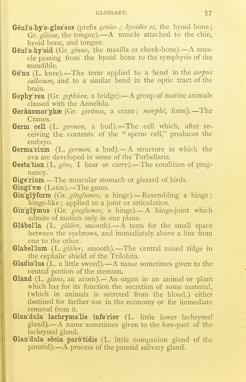 Geni'o-hy'o-glos'sus (prefix gefiio- ; hyoides os, the hyoid bone; Gr. glossa, the tongue).—A muscle attached to the chin, hyoid bone, and tongue. Geni'o-hy'oid (Gr. genus, the maxilla or cheek-bone).—A mus- cle passing ft-om the hyoid bone to the symphysis of the mandible. Ge'nu (L. knee).—The term applied to a bend in the corpus callosum, and to a similar bend in the optic tract of the brain. Gephy'rea (Gr. gephura, a bridge).—A group of marine animals classed with the Annelida. Geranomor'phse (Gr. gerdnos, a crane; 7notphe, form).—The Cranes. Germ cell (L. germen, a bud).—The cell which, after re- ceiving the contents of the  sperm cell, produces the embryo. Gema'rium (L. germe?i, a bud). — A structure in which the ova are developed in some of the Turbellaria. Gesta'tion (L. gero, I bear or can-y).—The condition of preg- nancy. Gige'rium. —The muscular stomach or gizzard of birds. Gingi'vsB (Latin).—The gums. Gin'glyform (Gr. ginghiuios, a hinge).—Resembling a hinge ; hinge-like; applied to a joint or articulation. Gin'glymus (Gr. giuglumos, a hinge). —A hinge-joint which admits of motion only in one plane. Glabella (L. gldber, smooth).—A term for the small space between the eyebrows, and immediately above a line from one to the other. Glabel'lum (L. glctber, smooth).—The central raised ridge in the cephalic shield of the Trilobita. Gladiolus (L. a little sword).—A name sometimes given to the central portion of the sternum. Gland (L. glans, an acorn).—An organ in an animal or plant which has for its function the secretion of some material, (which in animals is secreted from the blood,) either destined for further use in the economy or for immediate removal from it. Glan'dula lachrymalis infe'rior (L. little lower lachrymal gland).—A name sometimes given to the fore-part of the lachrymal gland. Glan'dula socia paro'tidis (L. little comj^anion gland of the parotid).—A process of the parotid salivary gland.