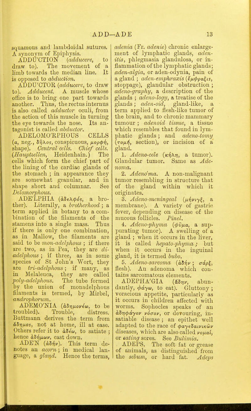 squamous and lamLdoulal sutures. A synonym of Epiphysis. ADDU'OTION {adducere, to draw to). The movement of a limb towards the median line. It is opposed to abduction, ADDU'CTOR {addxicerc, to draw to). Adducent. A muscle whose office is to bring one part towards another. Thus, the rectus internus is also called adductor oculi, from the action of this muscle in turning the eye towards the nose. Its an- tagonist is called abductor. ADELOMORPHOUS CELLS (a, neg., SrjXos, conspicuous, iiop(p-i], shape). Central cells. Cliief cells. {Hauptzellen, Heidenhain.) The cells which form the chief part of the lining of the cardiac glands of the stomach ; in appearance they are somewhat granular, and in shape short and columnar. See Delo?norphous. ADE'LPHIA {S^Se\(p6s, a bro- ther). Literally, a brotherhood ; a term applied in botany to a com- bination of the filaments of the stamens into a single mass. Thus if there is only one combination, as in Mallow, the filaments are said to be mon-adclphous ; if there are two, as in Pea, they are di- adelphoios; if three, as in some species of St John's Wort, they are tri-adelphous; if many, as in Melaleuca, they are called poly-adelphaics. The tube formed by the union of nionadelphous filaments is termed, by Mirbel, androphorum. ADEMO'NIA {6.Sr}fjLov4oi, to be troubled). Trouble, distress, liuttmann derives the terra from &S-nfj.os, not at home, ill at ease. Others refer it to dSc'w, to satiate ; hence aSiifiwv, cast down. ADE'N {6.Siiv). This term de- notes an acorn; in medical lan- guage, a gla7id. Hence the terms, adenia (Fr. adcnie) chronic enlarge- ment of lymphatic glands, aden- itis, phlegmasia glandulosa, or in- flammation of the lymphatic glands; aden-algia, or aden-odynia, pain of a gland ; aden-emphraxis (eij.(ppa^is, stoppage), glandular obstruction ; adeno-graphy, a description of the glands ; adcno-logy, a treatise of the glands; aden-oid, gland-like, a term applied to flesh-like tumor of the brain, and to chronic mammary tumour; adenoid tissue, a tissue which resembles that found in lym- phatic glands; and adeno-tomy (tojU/J, section), or incision of a gland. 1. Adcno-cele (k^Aij, a tumor). Glandular tumor. Same as Ade- novia. 2. Adcno'ma. A non-malignant tumor resembling in structure that of the gland within which it originates. 3. Adeno-mcningeal {fi-fiviy^, a membrane). A variety of gastrio fever, depending on disease of the mucous follicles. Find. 4. Adeno-phyma {(pv/xa, a sup- purating tumor). A swelling of a gland ; when it occurs in the liver, it is called /bcpato-phyma; but when it occiu's in the inguinal gland, it is termed bubo, 5. Adeno-sarcoma {aSriy; o-apj, flesh). An adenoma which con- tains sarcomatous elements. ADEPHA'GIA {&S7,y, abun- dantly, 4>ayw, to eat). Gluttony ; voracious appetite, particularly as it occurs in children aflected with worms. Sophocles speaks of an aSr](pdyov votrov, or devouring, in- satiable disease ; an epithet well adapted to the race of (paye^aiviKuiv diseases, which are also called vofiai, or eating sores. See Bulimia, ADEPS. The soft fat or gi-ease of animals, as distinguished from the sebum, or hard fat. Adeps