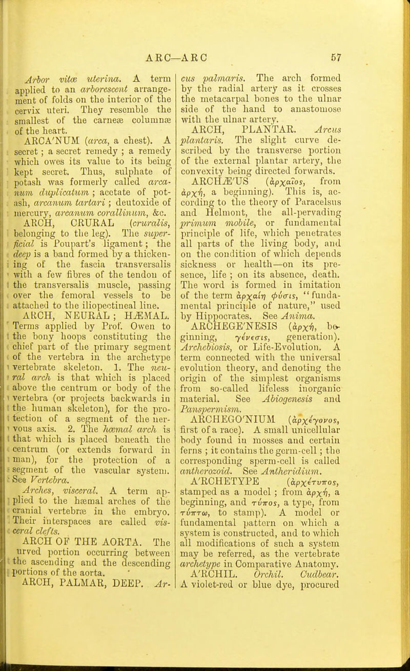 Arhffr vitce itterina. A term , applied to an arborescent arrange- ment of folds on the interior of the . cervix nteri. They resemble the : smallest of the carnese columnte , of the heart. ARCA'NUM {area, a chest). A ! secret; a secret remedy ; a remedy • which owes its value to its being 1 kept secret. Thus, sulphate of I potash was formerly called area- : num dupUcatum ; acetate of pot- : ash, arcanum, tartari ; deutoxide of : mercury, arcanum coralUimm, &c. ARCH, CRURAL (cruralis, 1 belonging to the leg). The super- i ficial is Poupart's ligament; the * deep is a band formed by a thicken- i ing of the fascia ti'ansversalis ' with a few fibres of the tendon of ( the transversalis muscle, passing i over the femoral vessels to be i attached to the iliopectineal line. ARCH, NEURAL ; HiEMAL. ' Terms applied by Prof. Owen to t the bony hoops constituting the c chief part of the primary segment < of the vertebra in the archetype 1 vertebrate skeleton. 1. The neu- t ml arch is that which is placed f above the centrum or body of the 1 vertebra (or projects backwards in t the human skeleton), for the pro- 1 tection of a segment of the uer- 1 vous axis. 2, The haemal arch is I that which is placed beneath the centrum (or extends forward in ; man), for the protection of a s segment of the vascular system, t See Vertebra. Arches, visceral. A term ap- ! plied to the hfemal arches of the ' cranial vertebrne in the embryo. Their interspaces are called vis- ceral clefts. ARCiJ OF THE AORTA. The urved portion occurring between t the ascending and the descending 1 portions of the aorta. ARCH, PALMAR, DEEP, Ar- cus -palmaris. The arch formed by the radial arteiy as it crosses the metacarpal bones to the ulnar side of the hand to anastomose with the ulnar artery. ARCH, PLANTAR. Arcus plantaris. The slight curve de- scribed by the transverse portion of the external plantar artery, the convexity being directed forwards. ARCHjE'US {apxatos, _ from apx'hi ^ beginning). This is, ac- cording to the theory of Paracelsus and Helmont, the all-pervading p)rimuin mobile, or fundamental princii)le of life, which penetrates all jiarts of the living body, and on the condition of which dei)ends sickness or health—on its pre- sence, life ; on its absence, death. The word is formed in imitation of the term apxa'iv <pv(Tts, funda- mental principle of nature, used by Hippocrates. See Anima. ARCHEGE'NESIS (apx^, be- ginning, yivtais, generation). Archcbiosis, or Life-Evolution. A term connected with the universal evolution theory, and denoting the origin of the simplest organisms from so-called lifeless inorganic material. See Abiogenesis and Panspertnism. ARCHEGO'NIUM {kpxho^os, first of a race). A small unicellular body found in mosses and certain ferns ; it contains the germ-cell; the corresponding sperm-cell is called anthcrozoid. See Antlieridium. A'RCHETYPE {apx^rvivos, stamped as a model; from apxv, a beginning, and tvttos, a type, from TUTTTco, to stamp). A model or fundamental pattern on which a system is consti'ucted, and to which all modifications of such a system may be referred, as the vertebrate archetype in Comparative Anatomy. A'RCHIL. Orchil. Cudbear. A violet-red or blue dye, procured