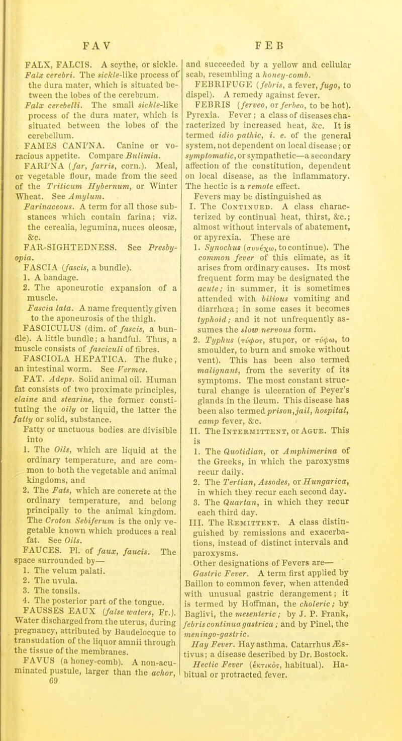 FAV FEB FALX, FALCIS. A scj'the, or sickle. Falx cerebri. The iicA-i!e-like process of the (lurii mater, which is situated be- tween tlie lobes of the cerebrum. Falx cerebelH. The small skkle-Vike process of the dura mater, which is situated between the lobes of the cerebellum. FAMES CANI'NA. Canine or vo- racious appetite. Compare JSM/imid. FARI'NA (far, farris, corn.). Meal, or vegetable flour, made from the seed of the Trilicum Hybernum, or Winter VVlieat. See Amylum. Farinaceous. A term for all those sub- stances which contain farina; viz. the cerealia, legmnina, nuces oleosae, &c. FAR-SIGHTEDNESS. See Presby- opia. FASCIA (fascis, a bundle). 1. A bandage. 2. The aponeurotic expansion of a muscle. Fascia lata. A name frequently given to the aponeurosis of the tliigh. FASCICULUS (dim. of fascis, a bun- dle). A little bundle; a handful. Thus, a muscle consists of fasciculi of fibres. FASCIOLA HEPATICA. The fluke , an intestinal worm. See Fermes. FAT. Adeps. Solid animal oil. Human fat consists of two proximate principles, elaine and siearine, the former consti- tuting the oily or liquid, the latter the fatty or solid, substance. Fatty or unctuous bodies are divisible into 1. The Oils, which are liquid at the ordinary temperature, and are com- mon to both the vegetable and animal kingdoms, and 2. The Fats, which are concrete at the ordinary temperature, and belong principally to the animal kingdom. The Croton Sebiferum is the only ve- getable known which produces a real fat. See Oils. FAUCES. PI. of faux, faucis. The space surrounded by— 1. The velum palati. 2. The uvula. 3. The tonsils. 4. The posterior part of the tongue. FAUSSES EAUX (false waters, Fr.). Water discharged from the uterus, during pregnancy, attributed by Uaudelocque to transudation of the liquor amnii through the tissue of the membranes. FAVUS (a honey-comb). A non-acu- minated pustule, larger than the achor, 69 and succeeded by a yellow and cellular scab, resembling a houey-comb. FEBRIFUGE (febris, aiever,fugo, to dispel). A remedy against fever. FEBRIS (ferveo, or ferheo, to be hot). Pyrexia. Fever; a class of diseases cha- racterized by increased heat, &c. It is termed idio pathic, i. e. of the general system, not dependent on local disease; or symptomatic, or sympathetic—a secondary affection of the constitution, dependent on local disease, as the inflammatory. The hectic is a remote effect. Fevers may be distinguished as I. The Continued. A class charac- terized by continual heat, thirst, &c.; almost without intervals of abatement, or apyrexia. Tliese are 1. %7ioe7iM* (ffiiiiexii), to continue). The common fever of this climate, as it arises from ordinary causes. Its most frequent form may be designated the acute; in summer, it is sometimes attended with bilious vomiting and diarrhcea; in some cases it becomes typhoid; and it not unfrequently as- sumes the slow nervous form. 2. Typhus (rvipoi, stupor, or Tv(j]U>, to smoulder, to bum and smoke -ivithout vent). This has been also termed malignant, from the severity of its symptoms. The most constant struc- tural change is ulceration of Peyer's glands in the ileum. This disease has been also termedpraore,joi7, hospital, camp fever, &c. II. The Intermittent, or Ague. Tliis is 1. The Quotidian, or Amphimerina of the Greeks, in which the paroxysms recur daily. 2. The Tertian, Assodes, or Hungarica, in which they recur each second day. 3. The Quartan, in which they recur each third day. III. The Remittent. A class distin- guished by remissions and exacerba- tions, instead of distinct intervals and paroxysms. Other designations of Fevers are— Gastric Fever. A term first applied by Baillon to common fever, when attended with unusual gastric derangement; it is termed by Hoffman, the choleric; by Baglivi, the mesenteric; by J. P. Frank, febris cordinuagastrica; and by Pinel, the meningo-gastric. Hay Fever. Hay asthma. Catarrhus jEs- tivus; a disease described by Dr. Bostock. Hectic Fever (txTiKor, habitual). Ha- bitual or protracted fever.
