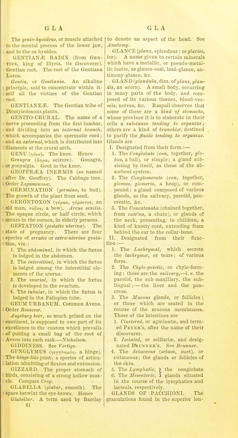 The genio-hyoideus, or muscle attached to the mental process of the lower jaw, and to the os hyoides. GENTIANS RADIX (from Gen- Tius, king of lUjTia, its discoverer). Gentian root. The root of the Gentiana Lutea. Gentia, or Gentiania. An alkaUne ; principle, said to concentrate within it- : self all the virtues of the Gentian ; root. GENTIANE^. The Gentian tribe of '. Dicotj'ledonous plants. GENITO-CRURAL. The name of a I nerve proceeding from the first lumbar, : and dividing into an internal branch, ' which accompanies the spermatic cord; 1 and an external, which is distributed into 1 filaments at the crural arch. GENU (lovv). The knee. Hence Genugra (aypa, seizure). Gonagra, I or gonyalgia. Gout in the knee. GEOFFRyEA INERMIS (so named : after Dr. Geoffrey). The Cabbage tree. ( Order Leguminosa:. GERMINATION {germino, to bud). ' The growth of the plant from seed. GERONTOXON (tepav, yepovro^, an < old man, Tofoi/, a bow). Arcus senilis. '. The opaque circle, or half circle, which ( occurs in the cornea, in elderly persons. GESTATION (gestatio uterina). The • state of pregnancy. There are four ■ species of erratic or extra-uterine gesta- ; tion, \\z.: 1. The abdominal, in which the foetus is lodged in the abdomen. 2. The interstitial, in which the foetus is lodged among the interstitial ele- ments of the uterus. 8. The ovarial, in which the foetus is developed in the ovarium. 4. The tubular, in which the foetus is lodged in the Fallopian tube. GEUM URBANUM. Common Avens. I Order Rosacea. Augsburg beer, so much prized on the c continent, is supposed to owe part of its : excellence to the custom which prevails of putting a small bag of the root of . Avens into each cask.—Nicholson. GIDDINESS. See Vertigo. GI'NGLYMUS (iiftXvjxo^, a hinge). ' The hinge-like ]omt\ a species of articu- lation admittingof flexion and extension. GIZZARD. . The proper stomach of birds, consisting of a strong hollow mus- i cle. Compare Crop. GLABELLA (glaber, smooth). The • space betwixt the eye-brows. Hence Glabellar. A term used by Barclay 81 to denote an aspect of the head. See Anatomy. GLANCE (glanz, splendour ; oxglacies, ice). A name given to certain minerals which have a metallic, or pseudo-metal- lic lustre, as glance-coal, lead-glance, an- timony-glance, &c. GLAND (glandula, dim. of glans, glan- dis, an acorn). A small body, occurring in many parts of the body, and com- posed of its various tissues, blood-ves- sels, nerves, &c. Raspail observes that some of these are a kind of stomachs, whose province it is to elaborate in their cells a substance tending to organize ; others are a kind of branchicE, destined to purify the fluids tending to organize. Glands are I. Designated from their form :—• 1. The Conglobate {con, together, glo- bus, abaW), or simple; a gland sub- sisting by itself, as those of the ab- sorbent system. 2. The Conglomerate {con, together, glomus, glomeris, a heap), or com- pound ; a gland composed of various glands, as the salivary, parotid, pan- creatic, &c. 3. The Cnncatenatec (chained together, from caie'na, a chain), or glands of the neck, presenting, in children, a kind of knotty cord, extending from behind the ear to the collar-bone. II. Designated from their func- tion :— 1. The Lachrymal, which secrete the lachrymis, or tears; of various form. 2. The Chylo-poietic, or chyle-form- ing ; these are the salivary,—i. e. the parotid, the sub-maxillary, the sub- lingual ; — the liver and the pan- creas. 3. The Mucous glands, or follicles ; or those which are seated in the course of the mucous membranes. Those of the intestines are 1. Clustered, or agminatae, and term- ed Peyer's, after the name of their discoverer. 2. Isolated, or solitarise, and desig- nated BivuNNER's. See Brunner. 4. The Sebaceous (sebum, suet), or cutaneous; the glands or follicles of the skin. • 5. The Lymphatic, 7 the conglobate 6. The Mesenteric, i glands situated in the course of the lymphatics and lacteals, respectively. GLANDS OF PACCHIONI. The granulations found in the superior Ion-