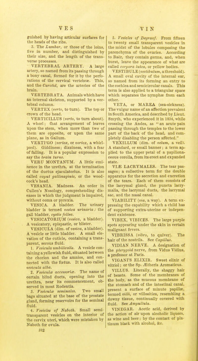 guished by having articular surfaces for the heads of the ribs. 3. The Lumbar, or those of the loins, five in number, and distinguished by their size, and the length of the trans- verse processes. VERTEBRAL ARTERY. A large artery, so named from its passing through a bony canal, formed for it by the perfo- rations of the cervical vertebrae. This, and the Carotid, are the arteries of the brain. VERTEBRATA. Animals which have an internal skeleton, supported by a ver- tebral column. VERTEX (verto, to turn). The top or crown of the head. VERTICILLUS (verto, to turn about). A whorl; fliat arrangement of leaves upon the stem, when more than two of them are opposite, or upon the same plane, as in Galium. VERTl'GO (vertex, or vortex, a whirl- pool). Giddiness; dizziness, with a fear of falling. It is a popular expression to say the brain turns. VERU MONTANUM. A little emi- nence in the urethra, at the termination of the ductus ejaculatorius. It is also called caput gallinaginis, or the wood- coclt's head. VESANIA. Madness. An order in CuUen's Nosology, comprehending dis- eases in which the judgment is impaired, without coma or pyrexia. VESICA. A bladder. The urinary bladder is termed vesica urinaria; the gall bladder, cystis fellea. VESICATORIUM (vesica, a bladder). A vesicatory, epispastic, or blister. VESICULA (dim. of vesica, a bladder). A vesicle or little bladder. A small ele- vation of the cuticle, containing a trans- parent, serous fluid. 1. Vesicula umbilicalis. A vesicle con- taining a yellowish fluid, situated between the chorion and the amnios, and con- nected with the foetus. It is also called vesicula alba. 2. VesiculcE accessorice. The name of certain blind ducts, opening into the urethra, near its commencement, ob- served in most Rodentia. 3. VesiculcE seminales. Two small bags situated at the base of the prostate gland, forming reservoirs for the seminal fluid. 4. Vesicles of Naboth. Small semi- transparent vesicles on the interior of the cervix uteri, which were mistaken by Naboth for ovula. m 5. Vesicles of Degraaf. From fifteen to twenty small transparent vesicles in the midst of the lobules composing the parenchyma of the ovaries. According to Baiir, they contain germs, and, when burst, leave the appearance of what are called corpora lutea, or yellow bodies. VESTIBULE(«csii6atem,athreshold). A small oval cavity of the internal ear, so named from its forming an entry to the cochlea and semicircular canals. This term is also applied to a triangular space which separates the nymphse from each other. VETA, or MAREA (sea-sickness). The vulgar name of an aflection prevalent in South America, and described by Lieut. Smyth, who experienced it in 1834, while crossing the Andes, as  an acute pain passing through the temples to the lower part of the back of the head, and com- pletely disabling the person affected. VEXILLUM (dim. of velum, a veil). A standard, or small banner; a term ap- plied to the upper petal of a papiliona- ceous corolla, from its erect and expanded state. VliE LACRYMALES. The tear pas- sages; a collective term for the double apparatus for the secretion and excretion of the tears. Each of them consists of the lacrymal gland, the puncta lacry- malia, the lacrymal ducts, the lacrjTnal sac, and the nasal canal. VIABILITY (via, a way). A term ex- pressing the capability which a child has of supporting extra-uterine or indepen- dent existence. VIBEX, VIBICES. The large purple spots appearing under the skin in certain malignant fevers. VIBRISSA (vibro, to quiver). The hair of the nostrils. See Capillus. VIDIAN NERVE. A designation of the pterygoid nerve, from Vidus Vidius, a professor at Paris. VIGANI'S ELIXIR. Sweet elixir of vitriol; or the Sp. iEtheris Aromaticus. VILLUS. Literally, the shaggy hair of beasts. Some of tlie membranes of the body, as the mucous membrane of the stomach and of the intestinal canal, present a surface of minute papillae, termed villi, or villosities, resembling a downy tissue, continually covered with fluid. See Ampultula. VINEGAR. Acetic acid, derived by the action of air upon alcoholic liquors, as wine and beer; by the contact of pla- tinum black with alcohol, &c.