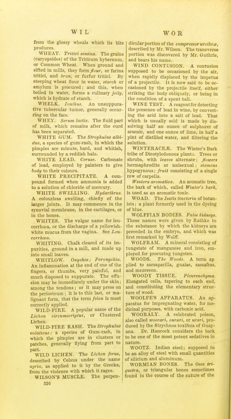 WOR from the glossy wheals which its bite produces. WHEAT. Tritici semina. The grains (caryopsides) of the Triticum hybernum, or Common Wheat. Wlien ground and sifted in mills, they form/our, or farina tritici, and bran, or furfur tritici. By steeping wheat flour in water, starch or amylum is procured; and this, when boiled in water, forms a culinary jellp, which is hydrate of starch. WHELK. Iimthus. An unsuppura- tive tubercular tumor, generally occur- ring on the face. WHEY. Serum lactis. The fluid part of milk, which remains after the curd has been separated. WHITE GUM. The Strophulus albi- dus, a species of gum-rash, in which the pimples are minute, hard, and whitish, surrounded by a reddish halo. WHITE LEAD. Ceruse. Carbonate of lead, employed by painters to give body to their colours. WHITE PRECIPITATE. A com- pound formed when ammonia is added to a solution of chloride of mercury. WHITE SWELLING. Hydarthrus. A colourless swelling, chiefly of the larger joints. It may commence in the synovial membrane, in the cartilages, or in the bones. WHITES. The vulgar name for leu- corrhcea, or the discharge of a yellowish- white mucus from the vagina. See Lcu- corrhoea. WHITING. Chalk cleared of its im- purities, ground in a mill, and made up into small loaves. WHITLOW. Onychia; Paronychia. An inflammation at the end of one of tlie fingers, or thumbs, very painful, and much disposed to suppurate. The eflfu- sion may be immediately under the skin; among the tendons ; or it may press on the periosteum; it is to this last, or ma- lignant form, that the term felon is most correctly applied. WILD-FIRE. A popular name of the Lichen circumscriptus, or Clustered Lichen. WILD-FIRE RASH. The Strophulus volaticus; a species of Gum-rash, in which the pimples are in clusters or patches, generally flying from part to part. WILD LICHEN. The Lichen ferus, described by Celsus under the name agria, as applied to it by the Greeks, from the violence with which it rages. WILSON'S MUSCLE. The perpen- j 326 dicular portion of the compressor urethrte, described by Mr. Wilson. The transverse portion was discovered by Mr. Guthrie, and bears his name. WIND CONTUSION. A contusion supposed to be occasioned by the air, when rapidly displaced by the impetus of a projectile. It is now said to be oc- casioned by the projectile itself, either striking the body obliquely, or being in the condition of a spent ball. WINE TEST. A reagent for detecting the presence of lead in wine, by convert- ing the acid into a salt of lead. That which is usually sold is made by dis- solving half an ounce of sulphuret of arsenic, and one ounce of lime, in half a pint of distilled water, and filtering the solution. WINTERACEjE. The Winter's Bark tribe of Dicotyledonous plants. Trees or shrubs, with leaves alternate; flowers hermaphrodite or unisexual ; stamens hypogynous; fruit consisting of a single row of carpella. Winlera aromatica. An aromatic tree, the bark of which, called Winter's bark, is used as an aromatic tonic. WO AD. The Isatis tinctoria of botan- ists ; a plant formerly used in the dyeing of blue. WOLFFIAN BODIES. False kidneys. These names were given by Rathke to the substance by which the kidneys are preceded in the embryo, and which was first remarked by Wolff. WOLFRAM. A mineral consisting of tungstate of manganese and iron, em- ployed for procuring tungsten. WOODS. The Woods. A term ap plied to sarsaparilla, guaiac, sassafras, and mezereon. WOODY TISSUE. Pleurenchyma. Elongated cells, tapering to each end, and constituting the elementary struc- ture of wood. WOOLFE'S APPARATUS. An ap- paratus for impregnating water, for me- dicinal purposes, with carbonic acid. WOORALY. A celebrated poison, also called woorari, ourari, or urari, pro- duced by the Strychnos toxifera of Guay- ana. Dr. Hancock considers the bark to be one of the most potent sedatives in nature. WOOTZ. Indian steel; supposed to be an alloy of steel with small quantities of silicium and aluminum. WORMIAN BONES. The Ossa tn- guetra, or triangular bones sometimes found in the course of the suture of the