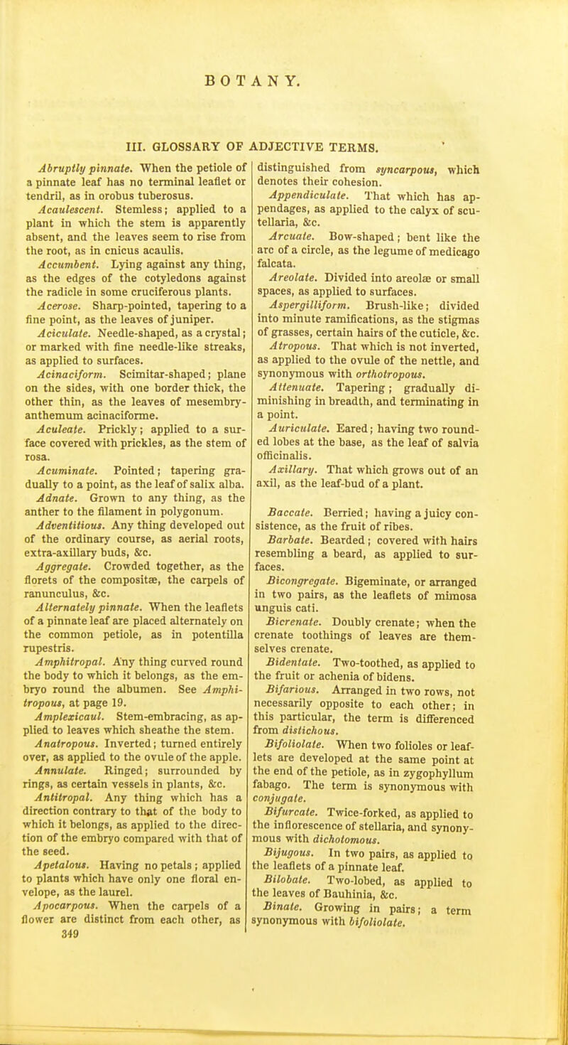 III. GLOSSARY OF ADJECTIVE TERMS. Abruptly pinnate. When the petiole of a pinnate leaf has no tenninal leaflet or tendril, as in orobus tuberosus. Acaulescent. Stemless; applied to a plant in which the stem is apparently absent, and the leaves seem to rise from the root, as in cnious acaulis. Accumbeni. Lying against any thing, as the edges of the cotyledons against the radicle in some cruciferous plants. Acerose. Sharp-pointed, tapering to a fine point, as the leaves of juniper. Aciculate. Needle-shaped, as a crystal; or marked with fine needle-like streaks, as applied to surfaces. Acinaciform. Scimitar-shaped; plane on the sides, with one border thick, the other thin, as the leaves of mesembry- anthemum acinacifonne. Aculeate. Prickly; applied to a sur- face covered with prickles, as the stem of rosa. Acuminate. Pointed; tapering gra- dually to a point, as the leaf of salix alba. Adnate. Grown to any thing, as the anther to the filament in polygonum. Adventitious. Any thing developed out of the ordinary course, as aerial roots, extra-axillary buds, &c. Aggregate. Crowded together, as the florets of the compositse, the carpels of ranunculus, &c. Alternately pinnate. When the leaflets of a pinnate leaf are placed alternately on the common petiole, as in potentilla rupestris. Amphitropal. Any thing curved round the body to which it belongs, as the em- bryo round the albumen. See Amphi- tropous, at page 19. Amplexicaul. Stem-embracing, as ap- plied to leaves which sheathe the stem. Anatropous. Inverted; turned entirely over, as applied to the ovule of the apple. Annulate. Ringed; surrounded by rings, as certain vessels in plants, &c. Antitropal. Any thing which has a direction contrary to thfit of the body to which it belongs, as applied to the direc- tion of the embryo compared with that of the seed. Apetaloui. Having no petals; applied to plants which have only one floral en- velope, as the laurel. Apocarpous. When the carpels of a flower are distinct from each other, as 349 distinguished from syncarpout, which denotes their cohesion. Appendiculate. That which has ap- pendages, as applied to the calyx of scu- tellziria, &c. Arcuate. Bow-shaped; bent like the arc of a circle, as the legume of medicago falcata. Areolate. Divided into areolae or small spaces, as applied to surfaces. Aspergilliform. Brush-like; divided into minute ramifications, as the stigmas of grasses, certain hairs of the cuticle, &c. Atropous. That which is not inverted, as applied to the ovule of the nettle, and synonymous with orthotropous. Attenuate. Tapering; gradually di- minishing in breadth, and terminating in a point. Auriculate. Eared; having two round- ed lobes at the base, as the leaf of salvia ofiicinalis. Axillary. That which grows out of an axil, as the leaf-bud of a plant. Baccate. Berried; having a juicy con- sistence, as the fruit of ribes. Barbate. Bearded; covered with hairs resembling a beard, as applied to sur- faces. Bicongregate. Bigerainate, or arranged in two pairs, as the leaflets of mimosa unguis cati. Bicrenate. Doubly crenate; when the crenate toothings of leaves are them- selves crenate. Bidentate. Two-toothed, as applied to the fruit or achenia of bidens. Bifarious. Arranged in two rows, not necessarily opposite to each other; in this particular, the term is diflerenced from distichous. Bifoliolate. When two folioles or leaf- lets are developed at the same point at the end of the petiole, as in zygophyllum fabago. The term is synonymous with conjugate. Bifurcate. Twice-forked, as applied to the inflorescence of stellaria, and synony- mous with dichotomous. Bijugous. In two pairs, as applied to the leaflets of a pinnate leaf. Bilobate. Two-lobed, as applied to the leaves of Bauhinia, &c. Binalc. Growing in pairs; a term synonymous with bifoliolate.