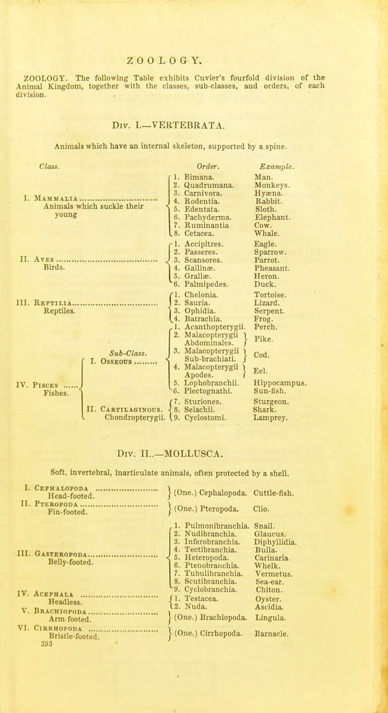 ZOOLOGY. The following Table exhibits Cuvier's fourfold division of the Animal Kingdom, together with the classes, sub-classes, and orders, of each division. Div. I.—VERTEBRATA. Animals which have an internal skeleton, supported by a spine. Clast. 1. Mammalia Animals which suckle their young II. AVES .... Birds. III. Reptilia... Reptiles. IV. Pisces .... Fishes. Sub-Class. OsS£OVS II. Carthaginous Chondropterygli Order. 1. Bimana. 2. Quadrumana. 3. Carnivora. 4. Rodentia. 5. Edentata. 6. Pachyderma. 7. Ruminantia 8. Cetacea. 1. Accipitres. 2. Passeres. 3. Scansores. 4. Gallinae. 5. Grallae. 6. Palmipedes. 1. Chelonia. 2. Sauria. 3. Ophidia. 4. Batrachia. 1. Acanthopterygii. 2. Malacopterygii 1 Abdominales. / 3. Malacopterygii 1 Sub-brachiati. J 4. Malacopterygii \ Apodes. I 5. Lophobranchii. ^6. Plectognathi. 7. Sturiones. 8. Selachii. 9. Cyclostomi. Example. Man. Monkeys. Hyaena. Rabbit. Sloth. Elephant. Cow. Whale. Eagle. Sparrow. Parrot. Pheasant. Heron. Duck. Tortoise. Lizard. Serpent. Frog. Perch. Pike. Cod. Eel. Hippocampus. Sun-fish. Sturgeon. Shark. Lamprey. Div. II..—MOLLUSCA. Soft, invertebral, inarticulate animals, often protected by a shell. I (One.) Cephalopoda. Cuttle-fish. } (One.) Pteropoda. Clio. I. Cephalopoda Head-footed. II. Pteropoda Fin-footed. III. Gasteropoda.... Belly-footed. IV. ACEPHALA Headless. V. Brachiopoda Arm-footed. VI. ClRRHOPODA Bristle-footed. 393 ,1. Pulmonihranchia. Snail. 2. Nudibranchia. Glaucus. 3. Inferobranchia. Diphyllidia. 4. Tectibranchia. Bulla. \ 5- Heteropoda. Carinaria. 6. Ptenobraiichia. Whelk. 7. Tubulibrancliia. Vermetus. 8. Scutibranchia. Sea-ear. ^9. Cyclobranchia. Chiton. {\. Testacea. Oyster. Nuda. Ascidia. 1 (One.) Brachiopoda. Lingula. 1 (One.) Cirrhopoda. Barnacle.