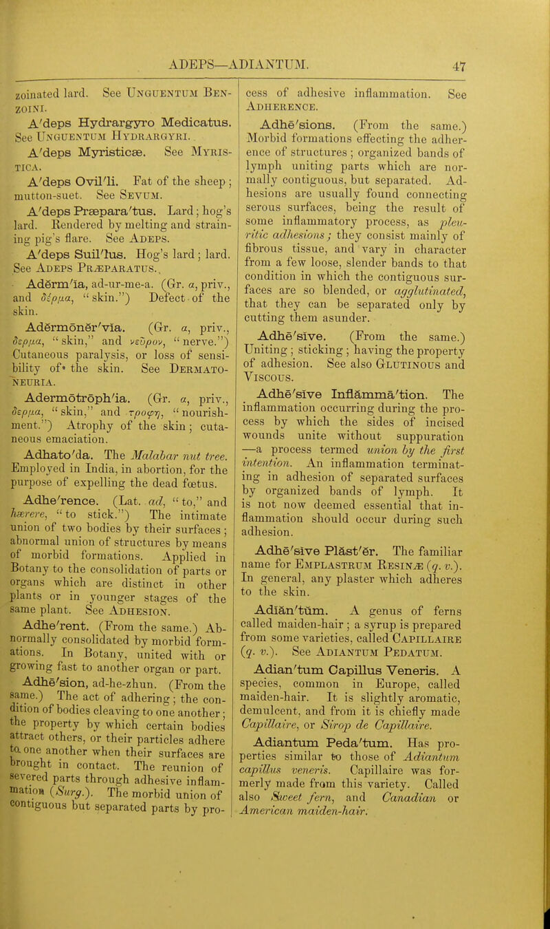 zoinated lard. See Unguentum Ben- ZOINI. A'deps Hydrarg-jnro Medicatus. See Unguentum Hydrargyri. A'deps Myristicae. See Myris- TICA. A'deps Ovil'li. Fat of the sheep ; mutton-suet. See Sevum. A'deps Praepara'tus. Lard; hog's lard. Rendered by melting and strain- ing pig's flare. See Adeps. A'deps Suil'lus. Hog's lard ; lard. See Adeps Pr^paratus., AdSrm'ia, ad-ur-me-a. (Gr. a, priv., and dip/ia, skin.) Defect of the skin. AdSrmoner'via. (Gr. a, priv., Sepfia,  skin, and vsupov,  nerve.) Cutaneous paralysis, or loss of sensi- bility of' the skin. See Dermato- NEURIA. Adermotroph'ia. (Gr. a, priv., dep;ia, skin, and rpoffj, nourish- ment.) Atrophy of the skin; cuta- neous emaciation. Adhato'da. The Malabar nut tree. Employed in India, in abortion, for the purpose of expelling the dead foetus. Adhe'rence. (Lat. ad,  to, and hserere, to stick.) The intimate union of two bodies by their surfaces ; abnormal union of structures by means of morbid formations. Applied in Botany to the consolidation of parts or organs which are distinct in other plants or in younger stages of the same plant. See Adhesion. Adhe'rent. (From the same.) Ab- normally consolidated by morbid form- ations. In Botany, united with or growing fast to another organ or part. Adhe'sion, ad-he-zhun. (From the same.) The act of adhering; the con- dition of bodies cleaving to one another; the property by which certain bodies attract others, or their particles adhere ta one another when their surfaces are brought in contact. The reunion of severed parts through adhesive inflam- matioB iSursf.). The morbid union of contiguous but separated parts by pro- cess of adhesive inflammation. See Adherence. Adhe 'sions. (From the same.) Morbid formations effecting the adher- ence of structures ; organized bands of lymph uniting parts which are nor- mally contiguous, but separated. Ad- hesions are usually found connecting serous surfaces, being the result of some inflammatory process, as pZe?{- rit'ic adhesions; they consist mainly of fibrous tissue, and vary in character from a few loose, slender bands to that condition in which the contiguous sur- faces are so blended, or agglutinated, that they can be separated only by cutting them asunder. Adhe'sive. (From the same.) Uniting ; sticking ; having the property of adhesion. See also Glutinous and Viscous. Adhe'sive Inflamma'tion. The inflammation occurring during the pro- cess by which the sides of incised wounds unite without suppuration —a process termed union by the first intention. An inflammation terminat- ing in adhesion of separated surfaces by organized bands of lymph. It is not now deemed essential that in- flammation should occur during such adhesion. Adhe'sive Piast'gr. The familiar name for Emplastrum Resins (q. v.). In general, any plaster which adheres to the skin. Adian'tum. A genus of ferns called maiden-hair ; a syrup is prepared from some varieties, called Capillaire (q. v.). See Adiantum Pedatum. Adian'tum CapiUus Veneris. A species, common in Europe, called maiden-hair. It is slightly aromatic, demulcent, and from it is chiefly made Capillaire, or Sirop de Capillaire. Adiantum Peda'tum. Has pro- perties similar to those of Adiantum capillus veneris. Capillaire was for- merly made from this variety. Called also Sweet fern, and Canadian or American maiden-hair.