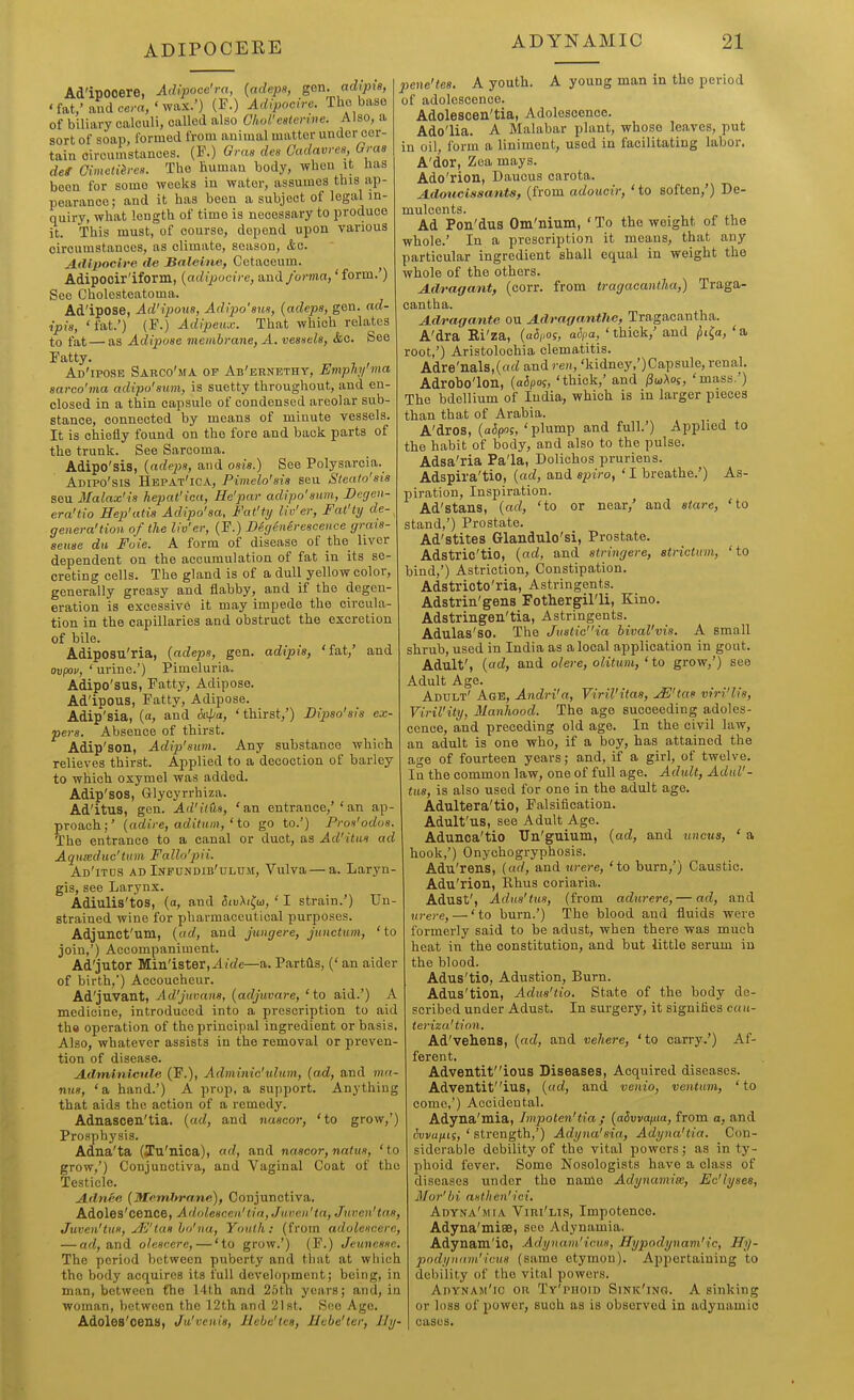 Ad'ipooere, Adlpoce'ra, {adepx, gon. adijna, 'fat/andcem,'wax.') (F.) Adlpocire. Tho base of biliary calculi, called also ChoVeaterwe. Also, a sort of soap, formed from animal matter under cer- tain circumstances. (F.) Gnis des Gadavres, Graa def Cimetih-es. The human body, when it has been for some weeks in water, assumes this ap- pearance; and it has been a subject of legal in- quiry, what length of time is necessary to produce it. This must, of course, depend upon various circumstances, as climate, season, &o. AiUpocire tie Bnleine, Cetaceum. ^ Adipooir'iform, {adlpocire, and/orma, 'form.) See Cholesteatoma. Ad'ipose, Ad'ipous, Adipo'sun, {adeps, gen. nd- ipia, 'fat.') (F.) Adipeux. That which relates to fat — as Adipose membrane, A. vesnels, <fcc. See Fatty. ^ , , Ad'iposb Sabco'ma of Ab'ernethy, Empliy ma sarco'ma adipu'sum, is suetty throughout, and en- closed in a thin capsule of condensed areolar sub- stance, connected by means of minute vessels. It is chiefly found on the fore and back parts of the trunk. See Sarcoma. Adipo'sis, {adeps, and osis.) See Polysarcia. Adipo'siS HepAt'icA, Pimelo'sis seu Steato'sis sen Malax'is hepat'ica, He'par adipo'sum, JDcgen- era'tio Hep'utia Adipo'aa, Fat'Uj liv'er, Fat'ly de-^ generation of the liv'er, (F.) Degenerescence grats- setiae dti Foie. A form of disease of the liver dependent on the accumulation of fat in its se- creting cells. The gland is of a dull yellow color, generally greasy and flabby, and if the degen- eration is excessive It may impede the circula- tion in the capillaries and obstruct the excretion of bile. Adiposu'ria, {adeps, gen. adipis, 'fat/ and ovpou, ' urine.') Pimeluria. Adipo'sus, Fatty, Adipose. Ad'ipous, Fatty, Adipose. Adip'sia, (a, and 6iipa, 'thirst,') Dijiso'sls ex- pers. Absence of thirst. Adip'son, Adip'sum. Any substance which relieves thirst. Applied to a decoction of barley to which oxymel was added. Adip'sos, Glycyrrhiza. Ad'itus, gen. Ad'ilCis, 'an entrance,''an ap- proach;' [adire, aditum, 'to go to.') Pros'odos. The entrance to a canal or duct, as Ad'itus ad Aquseduc'ttim Fallo'pii. Ad'itus ad INFUNDlB'uLU^^, Vulva — a. Laryn- gis, see Larynx. Adiulis'tos, (a, and 5ib^ii;ti), ' I strain.') Un- strained wine for pharmaceutical purposes. Adjunct'um, {ad, and jungere, jimctnm, 'to join,') Accompaniment. Ad'jutor Miii'ister,^irfe—a. Partds, (' an aider of birth,') Accoucheur. Ad'juvant, Ad'juvans, {adjuvare, ' to aid.') A medicine, introduced into a proscription to aid th« operation of the principal ingredient or basis. Also, whatever assists in the removal or preven- tion of disease. Adminicule (F.), Adminic'uliim, {ad, and mn- nus, 'a hand.') A prop, a support. Anything that aids tho action of a remedy. Adnascen'tia. {ad, and nascor, 'to grow,') Prosphysis. Adna'ta (ITtl'llica), ad, and nascor, natus, 'to grow,') Conjunctiva, and Vaginal Coat of the Testicle. A.dnfie {Tttemfyrane), Conjunctiva. Adoles'cence, Adolescen'lia, Jid-eu'ta, Juven'tas, Juven'tus, jE'taa hd'na, Youth: (from adolescerc, — afi, and oleacere, — 'to grow.') (F.) Jeuneaae. The period between puberty and tiiat at which tho body acquires its full development; being, in man, between €he 14th and 25th years; and, in woman, between tho 12th and 21 st. Soo Age. Adoles'oeuy, Ju'venia, Jlcbc'tea, Hcbe'ter, IJy- pene'tea. A youth. A young man in tho period of adolescence. Adolesoen'tia, Adolescence. Ado'lia. A Malabar plant, whose leaves, put in oil, form a liniment, used in facilitating labor. A'dor, Zea mays. Ado'rion, Caucus carota. A.doucissants, (from adoucir, ' to soften,') De- mulcents. Ad Pon'dus Om'nium, ' To the weight of the whole.' In a prescription it means, that any particular ingredient shall equal in weight the whole of tho others. Adragant, (corr. from tragacantha,) Traga- cantha. Adragante ou Adraganthe, Tragacantha. A'dra Ei'za, {aSi.os, aipa, 'thick,' and ^i^u, 'a root,') Aristolochia clematitis. Adre'lials,(ad and ren, 'kidney,')Capsule, renal. Adrobo'lon, (aipoj, 'thick,' and jSuAos, 'mass.') The bdellium of India, which is in larger pieces than that of Arabia. A'dros, {abgnz, 'plump and full.') Applied to the habit of body, and also to the pulse. Adsa'ria Pa'la, Dolichos pruriens. Adspira'tio, {ad, and apiro, ' I breathe.') As- piration, Inspiration. Ad'stans, {ad, 'to or near,' and stare, 'to stand,') Prostate. Ad'stites Glandulo'si, Prostate. Adstric'tio, {ad, and stringere, strictwn, 'to bind,') Astriction, Constipation. Adstrioto'ria, Astringents. Adstrin'gens Fothergil'li, Kino. Adstringen'tia, Astringents. Adulas'SO. Tho Justicia bival'vis. A small shrub, used in India as a local application in gout. Adult', {ad, and olere, olitum, ' to grow,') see Adult Ago. Adult' Age, Andri'a, Viril'itas, JE'taa viri'lia, Viril'ity, Manhood. Tho age succeeding adoles- cence, and preceding old age. In tho civil law, an adult is one who, if a boy, has attained the age of fourteen years; and, if a girl, of twelve. In the common law, one of full age. Adult, AduV- tiis, is also used for one in the adult age. Adultera'tio, Falsification. Adult'us, see Adult Ago. Adunoa'tio TJn'guium, {ad, and mucus, ' a hook,') Onychogryphosis. Adu'rens, (ad, and were, 'to burn,') Caustic. Adu'rion, Rhus coriaria. Adust', Adns'tus, (from adurere, — ad, and urere, — 'to burn.') The blood and fluids were formerly said to be adust, when there was much heat in the constitution, and but little serum in the blood. Adus'tio, Adustion, Burn. Adus'tion, Adus'tio. State of the body de- scribed under Adust. In surgery, it signifies cau- teriza'tion. Ad'veh.ens, {ad, and vehere, ' to carry.') Af- ferent, Adventifious Diseases, Acquired diseases. Adventifius, {ad, and venio, ventum, 'to come,') Accidental. Adyua'mia, Jmpoten'tia ; {aSvvafua, from a, and Swuixig, ' strength,') Adyna'sia, Adyna'tia. Con- sidoraijle debility of the vital jiowers; as in ty- phoid fever. Some Nosologists have a class of diseases under the name Adynainim, Ec'lyaes, 3Ior'bi asthen'ici. Adyna'mia Viri'lih, Impotence. Adyna'miee, see Adynamia. Adynam'io, Adyuam'icus, Hypodynam'ic, Hy- podynum'icua (same etymon). Ajjpertaiuing to debility of the vital powers. Adynah'ic on Ty'phoid Sink'ing. A sinking or loss of power, such as is observed in adynamic cases.