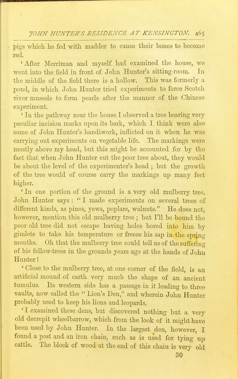 pigs Avliicli he fed with madder to cause their bones to become red. ' After Merriman and myself had examined the house, we went into the field in front of John Hunter's sitting-room. In -the middle of the field there is a hollow. This was formerly a pond, in which John Hunter tried experiments to force Scotch river mussels to form pearls after tlie manner of the Chinese experiment. ' In the pathway near the house I observed a tree bearing very peculiar incision marks upon its bark, which I think were also some of John Hunter's handiwork, inflicted on it when he was carrying out experiments on vegetable life. The marldngs were mostly above my head, but this might be accounted for by the fact that when John Hunter cut the poor tree about, they would be about the level of the experimenter's head ; but the growth of the tree would of course carry the markings up many feet higher. ' In one jDortion of the ground is a very old mulberry tree. John Hunter says: I made experiments on several trees of different kinds, as pines, yews, poplars, walnuts. He does not, however, mention this old mulberry tree ; but I'll be bound the poor old tree did not escape having holes bored into him by gimlets to take his temperature or freeze his sap in the sprjng months. Oh that the mulberry tree could teU us of the suiTering of his fellow-trees in the grounds years ago at the hands of John Hunter! ' Close to the mulberry tree, at one corner of the field, is an artificial mound of earth very much the shape of an ancient tumulus. Its western side has a passage in it leading to three vaults, now called the Lion's Den, and wherein John Hunter probably used to keep his lions and leopards. 'I examined these dens, but discovered nothing but a very old decrepit wheelbarrow, which from the look of it might have been used by John Hunter. In the largest den, however, I found a post and an iron chaiu, such as is used for tying up cattle. The block of wood at the end of this chain is very old 30
