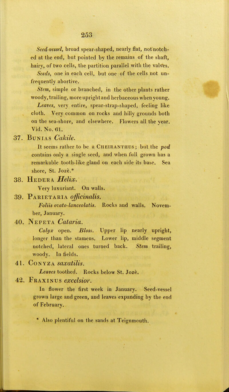 Seed-vessel, broad spear-shaped, nearly flat, not notch- ed at the end, but pointed by the remains of the shaft, hairy, of two cells, the partition parallel with the valVfes. Seeds, one in each cell, but one of the cells not un- frequently abortive. Stem, simple or branched, in the other plants rather woody, trailing, more upright and herbaceous when young. Leaves, very entire, spear-strap-shaped, feeling like cloth. Very common on rocks and hilly grounds both on the sea-shore, and elsewhere. Flowers all the year. Vid. No. 61. 37. Bun IAS Cakile. It seems rather to be a Cheiranthus; but the pod contains only a single seed, and when full grown has a remarkable tooth-like gland on each side its base. Sea shore, St. Joz^.* 38. Hedera Helix. Very luxuriant. On walls. 39. Parietaria officinalis. Foliis ovato-lanceolatis. Rocks and walls. Novem- ber, January. 40. Nepeta Cataria. Calyx open. Bloss. Upper lip nearly upright, longer than the stamens. Lower lip, middle segment notched, lateral ones turned back. Stem trailing, woody. In fields. 41. Conyza saxatilis. Leaves toothed. Rocks below St. Jozh. 42. Fraxinus excelsior. In flower the first week in January. Seed-vessel grown large and green, and leaves expanding by the end of February.. * Also plentiful on the sands at Teignmouth.