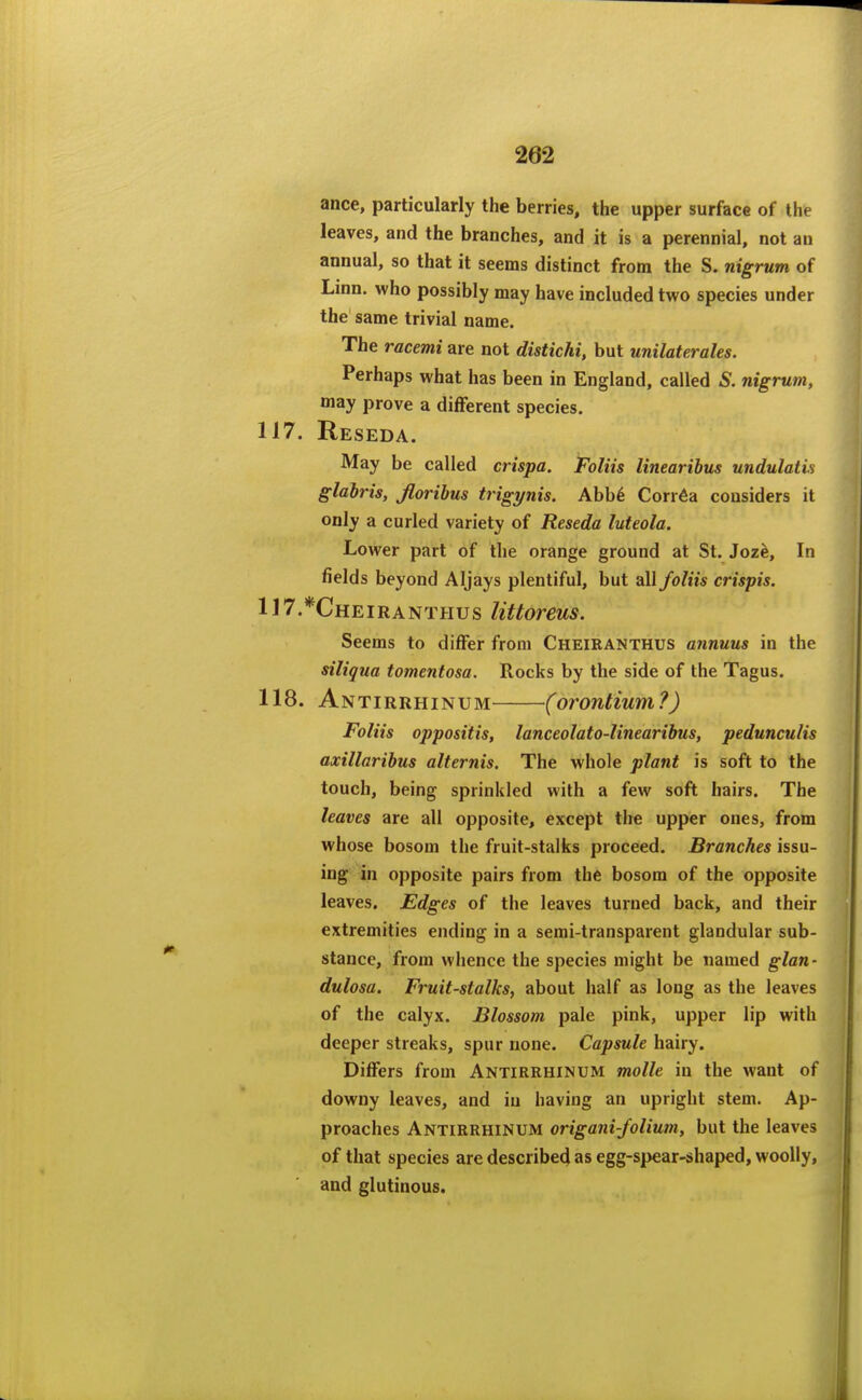 ance, particularly the berries, the upper surface of the leaves, and the branches, and it is a perennial, not an annual, so that it seems distinct from the S. nigrum of Linn, who possibly may have included two species under the same trivial name. The racemi are not distichi, but unilaterales. Perhaps what has been in England, called S. nigrum, may prove a difFerent species. 117. Reseda. May be called crispa. Foliis linearibus undulatis glahris, Jloribus trigynis. Abb6 Corr6a considers it only a curled variety of Reseda luteola. Lower part of the orange ground at St. Joze, In fields beyond Aljays plentiful, but all foliis crispis. 117. *Cheiranthus littoreus. Seems to differ from Cheiranthus annuus in the siliqua tomentosa. Rocks by the side of the Tagus. 118. Antirrhinum (orontium?) Foliis oppositis, lanceolato-linearihus, pedunculis axillaribus alternis. The whole plant is soft to the touch, being sprinkled with a few soft hairs. The leaves are all opposite, except the upper ones, from whose bosom the fruit-stalks proceed. Branches issu- ing in opposite pairs from the bosom of the opposite leaves. Edges of the leaves turned back, and their extremities ending in a semi-transparent glandular sub- stance, from whence the species might be named glan- dulosa. Fruit-stalks, about half as long as the leaves of the calyx. Blossom pale pink, upper lip with deeper streaks, spur none. Capsule hairy. Differs from Antirrhinum molle iu the want of downy leaves, and iu having an upright stem. Ap- proaches Antirrhinum origani-folium, but the leaves of that species are describe4 as egg-spear-shaped, woolly, and glutinous.