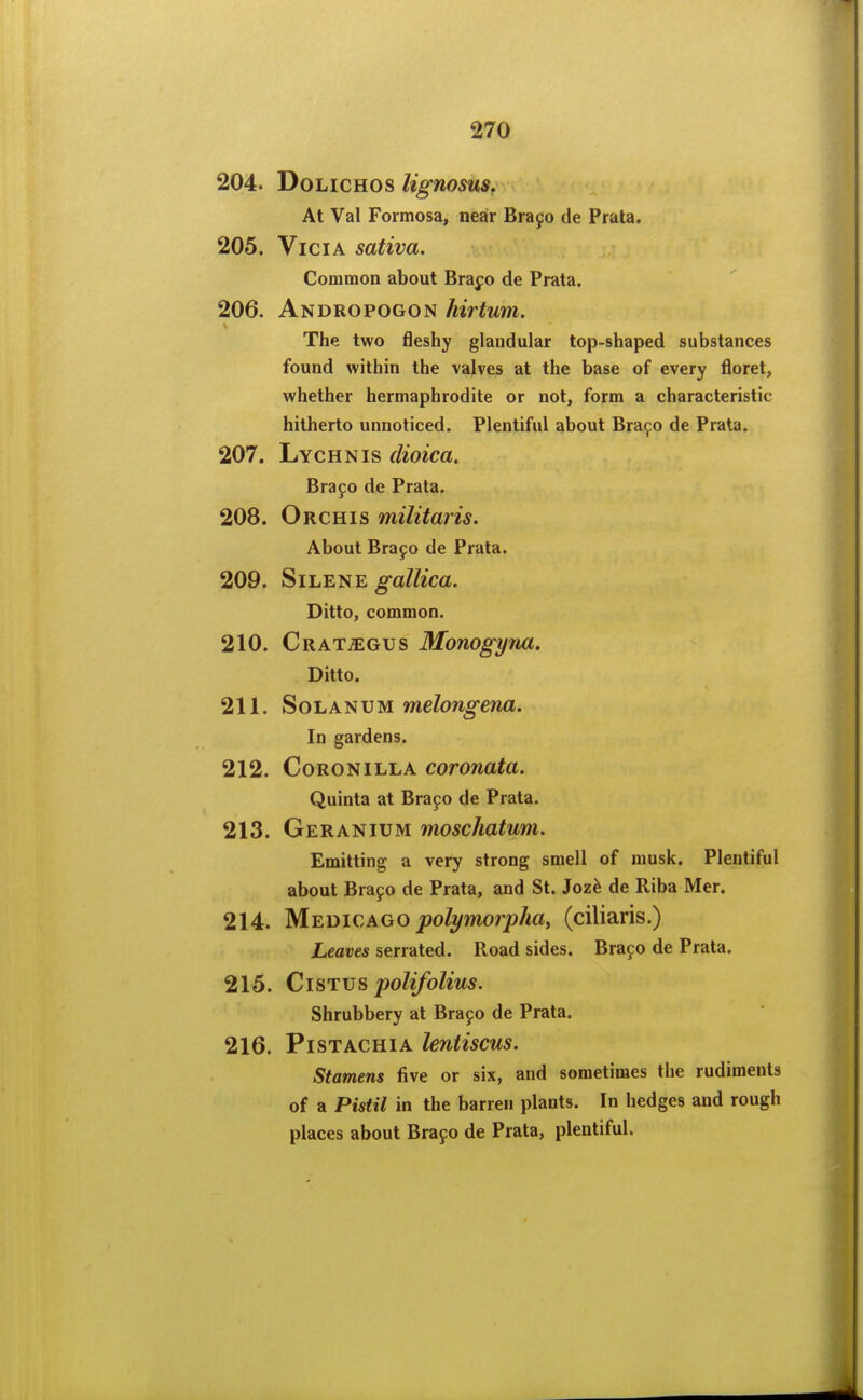 204. DoncHOS lignosus. At Val Formosa, near Brayo de Prata. 205. ViciA sativa. Common about Bra^o de Prata. 206. Andropogon hirtum. The two fleshy glandular top-shaped substances found within the valves at the base of every floret, whether hermaphrodite or not, form a characteristic hitherto unnoticed. Plentiful about Bra90 de Prata. 207. Lychnis dioica. Brayo de Prata. 208. Orchis militaris. About Brajo de Prata. 209. SiLENE o^a//2ca. Ditto, common. 210. Crat^gus Monogyna. Ditto. 211. SoLANUM melongena. In gardens. 212. CoRONiLLA coronata. Quinta at Brayo de Prata. 213. Geranium moschatum. Emitting a very strong smell of musk. Plentiful about Brayo de Prata, and St. Joz^ de Riba Mer. 214. Medic AG o polymojy ha, (ciliaris.) Leaves serrated. Road sides. Brapo de Prata. 215. CiSTVs polifolius. Shrubbery at Brajo de Prata. 216. Pistachia lentiscus. Stamens five or six, and sometimes the rudiments of a Pistil in the barren plants. In hedges and rough places about Brayo de Prata, plentiful.