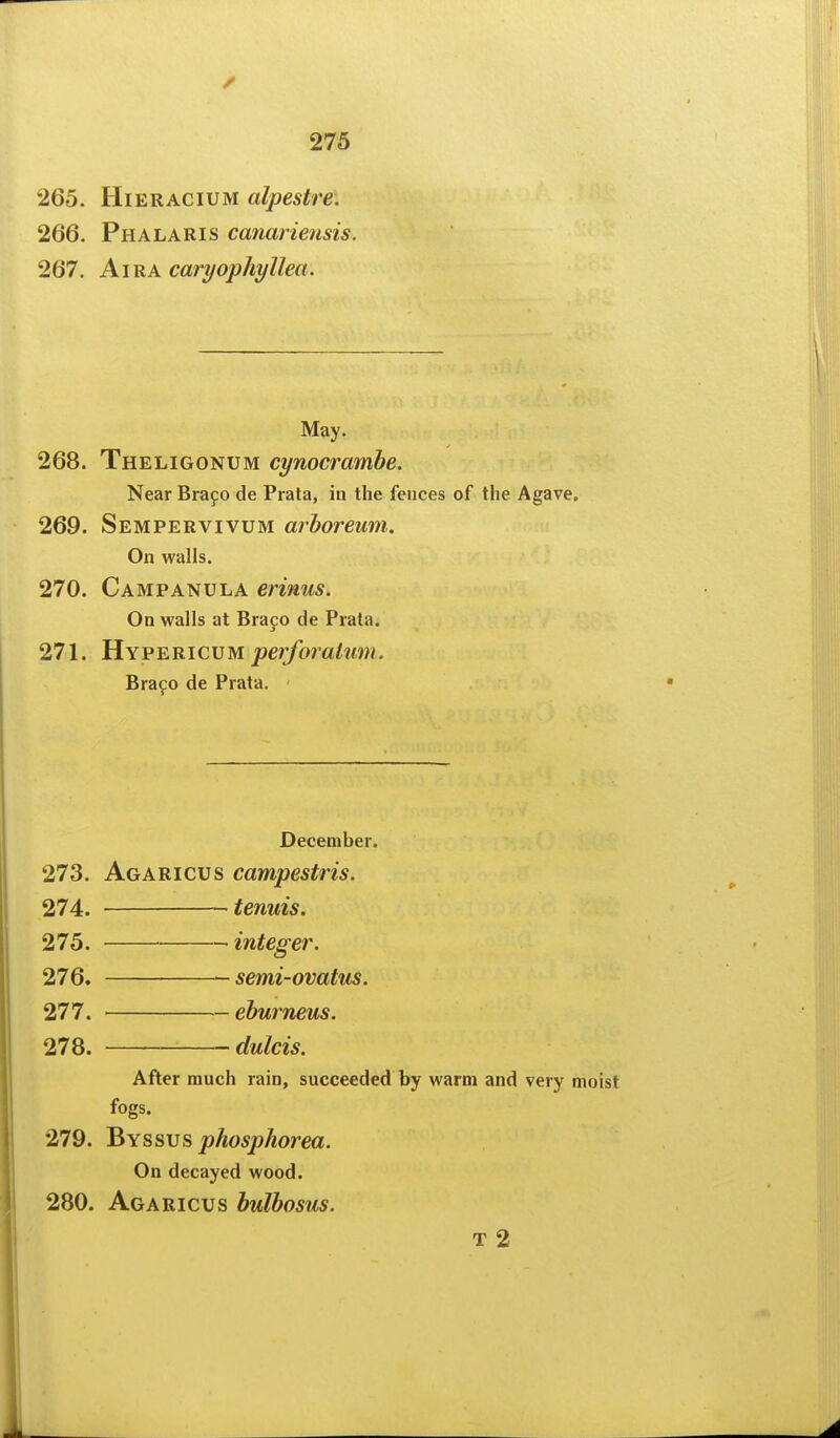 265. HiERACiuM alpestre. 266. Phalaris canariensis. 267. AiRA caryophyllea. 268. Theligonum cynocrambe. Near Brajo de Prata, in the fences of the Agave. 269. Sempervivum arhoreum. On walls. 270. Campanula erinus. On walls at Brafo de Prata. 271. Hypericvm perforatum. Bra^o de Prata. ■ December. 273. Agaricus campestris. 274. tenuis. 275. integer. 276. semi-ovatus. 277. eburneus. 278. dulcis. After much rain, succeeded by warm and very moist fogs. 279. ^Yssvs phosphorea. On decayed wood. 280. Agaricus hulhosus. T 2