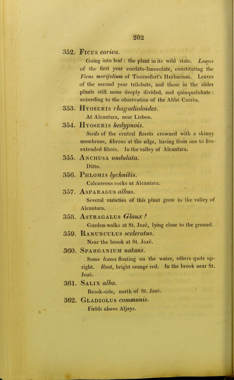 352. Ficus carica. Going into leaf: the plant in its wild state. Leaves of the first year cordato-lanceolate, constituting the Ficus morifotium of Tournefort's Herbarium. Leaves of the second year trilobate, and those in the older plants still more deeply divided, and quinquelobate : according to the observation of the Abbe Corrfea. 353. Hyoseris rhagadioloides. At Alcantara, near Lisbon. 354. Hyoseris hedypnois. Seeds of the central florets crowned with a skinny membrane, fibrous at the edge, having from one to five extended fibres. In the valley of Alcantara. 355. Anchusa undulata. Ditto. 356. Phlomis lychnitis. Calcareous rocks at Alcantara. 357. Asparagus alhus. Several varieties of this plant grow in the valley of Alcantara. 358. Astragalus Glaux? Garden-walks at St. Jozfe, lying close to the ground. 359. Ranunculus sceleratus. Near the brook at St. Joze. 360. Sparganium natans. Some leaves floating on the water, others quite up- right. Root, bright orange red. In the brook near St. Joz^. 361. Salix alba. Brook-side, north of St. Joze. 362. Gladiolus communis. Fields above Aljays.
