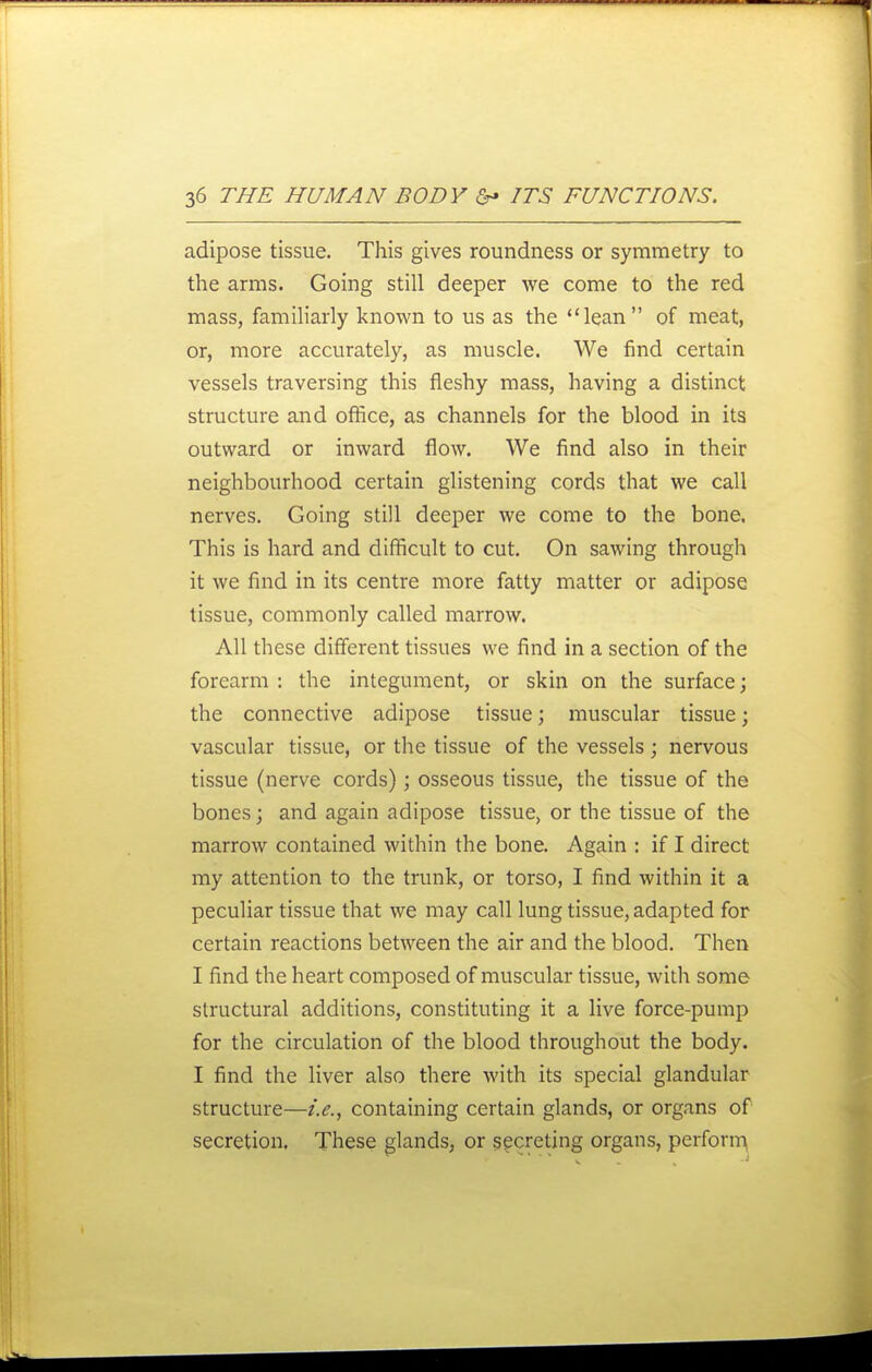 adipose tissue. This gives roundness or symmetry to the arms. Going still deeper we come to the red mass, famiharly known to us as the lean of meat, or, more accurately, as muscle. We find certain vessels traversing this fleshy mass, having a distinct structure and office, as channels for the blood in its outward or inward flow. We find also in their neighbourhood certain glistening cords that we call nerves. Going still deeper we come to the bone. This is hard and difficult to cut. On sawing through it we find in its centre more fatty matter or adipose tissue, commonly called marrow. All these different tissues we find in a section of the forearm : the integument, or skin on the surface; the connective adipose tissue; muscular tissue; vascular tissue, or the tissue of the vessels ; nervous tissue (nerve cords); osseous tissue, the tissue of the bones; and again adipose tissue, or the tissue of the marrow contained within the bone. Again : if I direct my attention to the trunk, or torso, I find within it a peculiar tissue that we may call lung tissue, adapted for certain reactions between the air and the blood. Then I find the heart composed of muscular tissue, with some structural additions, constituting it a live force-pump for the circulation of the blood throughout the body. I find the liver also there with its special glandular structure—i.e., containing certain glands, or organs of secretion. These glands, or secreting organs, perforiT\