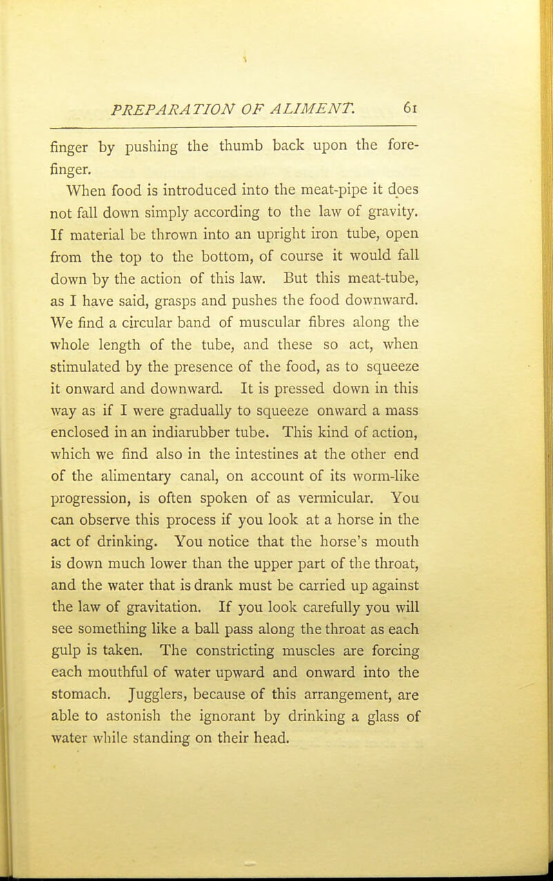 finger by pushing the thumb back upon the fore- finger. When food is introduced into the meat-pipe it does not fall down simply according to the law of gravity. If material be thrown into an upright iron tube, open from the top to the bottom, of course it would fall down by the action of this law. But this meat-tube, as I have said, grasps and pushes the food downward. We find a circular band of muscular fibres along the whole length of the tube, and these so act, when stimulated by the presence of the food, as to squeeze it onward and downward. It is pressed down in this way as if I were gradually to squeeze onward a mass enclosed in an indiarubber tube. This kind of action, which we find also in the intestines at the other end of the alimentary canal, on account of its worm-like progression, is often spoken of as vermicular. You can observe this process if you look at a horse in the act of drinking. You notice that the horse's mouth is down much lower than the upper part of the throat, and the water that is drank must be carried up against the law of gravitation. If you look carefully you will see something like a ball pass along the throat as each gulp is taken. The constricting muscles are forcing each mouthful of water upward and onward into the stomach. Jugglers, because of this arrangement, are able to astonish the ignorant by drinking a glass of water while standing on their head.