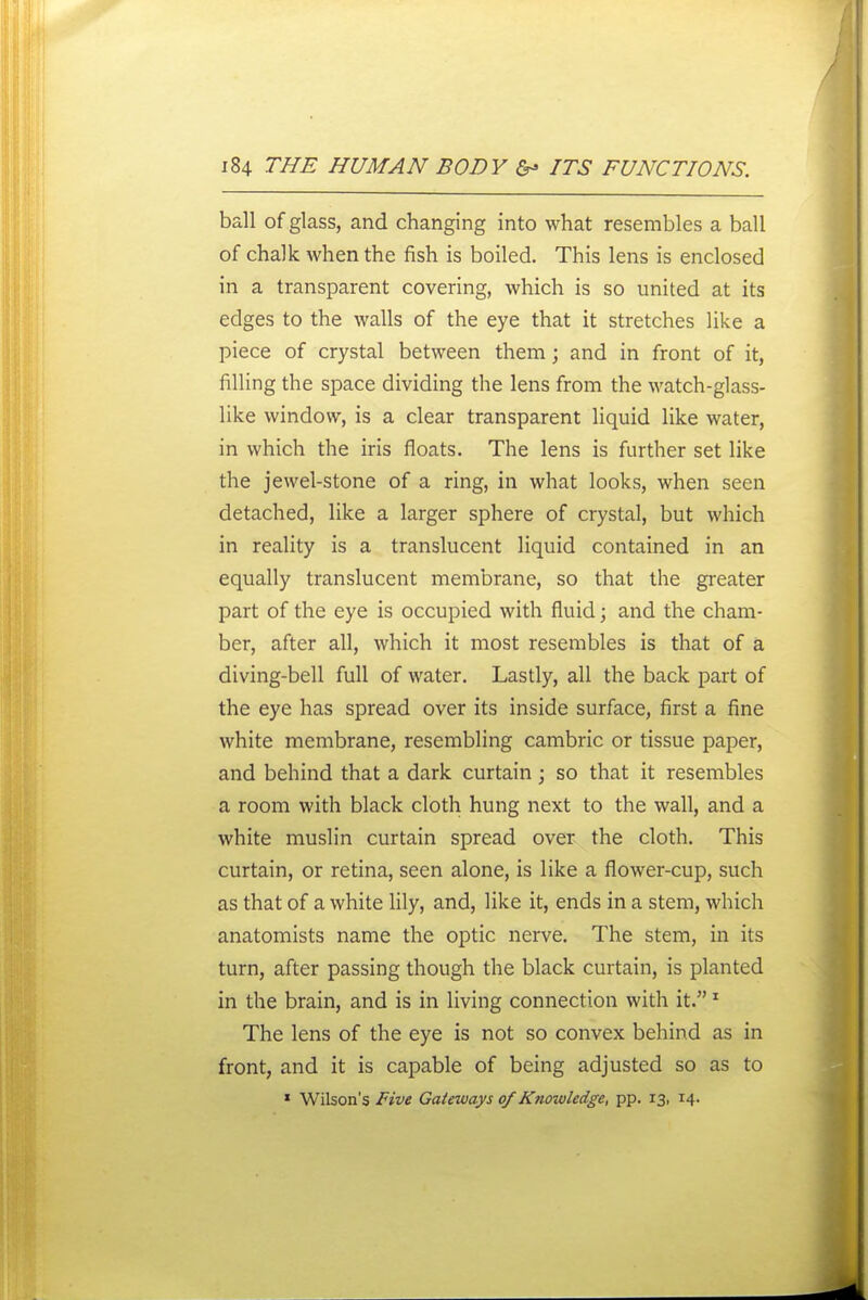 ball of glass, and changing into what resembles a ball of chalk when the fish is boiled. This lens is enclosed in a transparent covering, which is so united at its edges to the walls of the eye that it stretches like a piece of crystal between them; and in front of it, filling the space dividing the lens from the watch-glass- like window, is a clear transparent liquid like water, in which the iris floats. The lens is further set like the jewel-stone of a ring, in what looks, when seen detached, like a larger sphere of crystal, but which in reality is a translucent liquid contained in an equally translucent membrane, so that the greater part of the eye is occupied with fluid; and the cham- ber, after all, which it most resembles is that of a diving-bell full of water. Lastly, all the back part of the eye has spread over its inside surface, first a fine white membrane, resembling cambric or tissue paper, and behind that a dark curtain; so that it resembles a room with black cloth hung next to the wall, and a white muslin curtain spread over the cloth. This curtain, or retina, seen alone, is like a flower-cup, such as that of a white Uly, and, like it, ends in a stem, which anatomists name the optic nerve. The stem, in its turn, after passing though the black curtain, is planted in the brain, and is in living connection with it. * The lens of the eye is not so convex behind as in front, and it is capable of being adjusted so as to