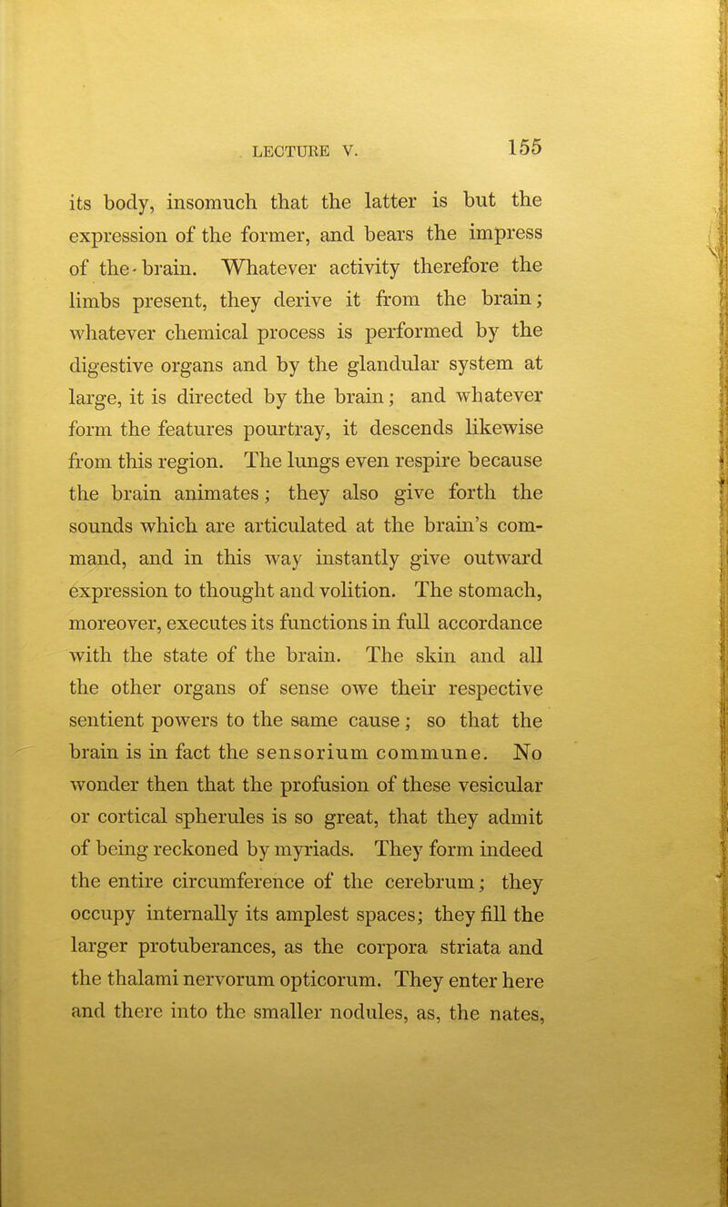 its body, insomuch that the latter is but the expression of the former, and bears the impress of the-brain. Whatever activity therefore the limbs present, they derive it from the brain; vi'^hatever chemical process is performed by the digestive organs and by the glandular system at large, it is directed by the brain; and whatever form the features pourtray, it descends likewise from this region. The lungs even respire because the brain animates; they also give forth the sounds which are articulated at the brain's com- mand, and in this way instantly give outward expression to thought and volition. The stomach, moreover, executes its functions in full accordance with the state of the brain. The skin and all the other organs of sense owe their respective sentient powers to the same cause; so that the brain is in fact the sensorium commune. No wonder then that the profusion of these vesicular or cortical spherules is so great, that they admit of being reckoned by myriads. They form indeed the entire circumference of the cerebrum; they occupy internally its amplest spaces; they fill the larger protuberances, as the corpora striata and the thalami nervorum opticorum. They enter here and there into the smaller nodules, as, the nates.