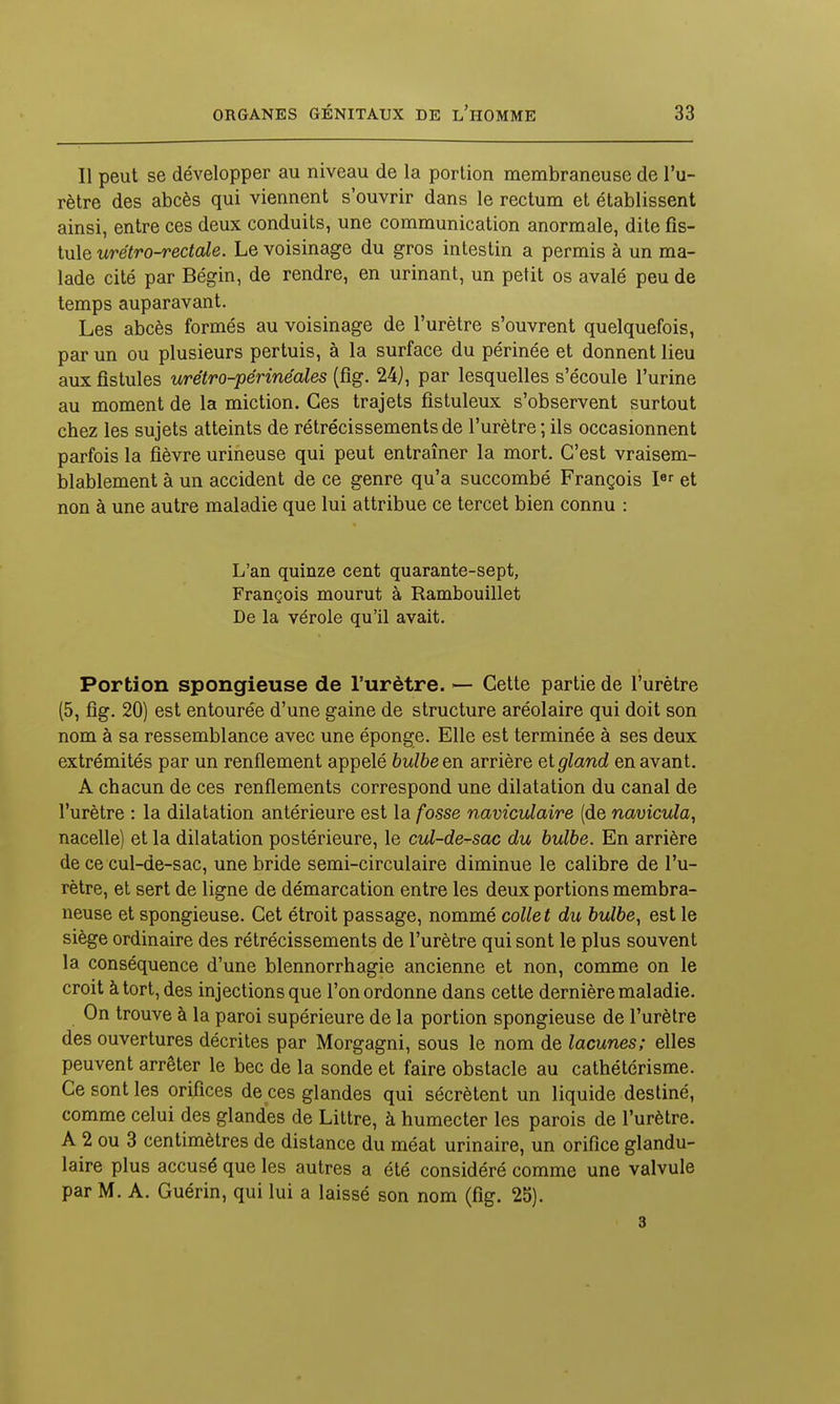 Il peut se développer au niveau de la portion membraneuse de l'u- rètre des abcès qui viennent s'ouvrir dans le rectum et établissent ainsi, entre ces deux conduits, une communication anormale, dite fis- tule urétro-rectale. Le voisinage du gros intestin a permis à un ma- lade cité par Bégin, de rendre, en urinant, un petit os avalé peu de temps auparavant. Les abcès formés au voisinage de l'urètre s'ouvrent quelquefois, par un ou plusieurs pertuis, à la surface du périnée et donnent lieu aux fistules urétro-périnéales (fig. 24), par lesquelles s'écoule l'urine au moment de la miction. Ces trajets fistuleux s'observent surtout chez les sujets atteints de rétrécissements de l'urètre; ils occasionnent parfois la fièvre urineuse qui peut entraîner la mort. C'est vraisem- blablement à un accident de ce genre qu'a succombé François et non à une autre maladie que lui attribue ce tercet bien connu : L'an quinze cent quarante-sept, François mourut à Rambouillet De la vérole qu'il avait. Portion spongieuse de l'urètre. ^ Cette partie de l'urètre (5, fig. 20) est entourée d'une gaine de structure aréolaire qui doit son nom à sa ressemblance avec une éponge. Elle est terminée à ses deux extrémités par un renflement appelé bulbe en arrière et gland en avant. A chacun de ces renflements correspond une dilatation du canal de l'urètre : la dilatation antérieure est la fosse naviculaire (de navicula, nacelle) et la dilatation postérieure, le cul-de-sac du bulbe. En arrière de ce cul-de-sac, une bride semi-circulaire diminue le calibre de l'u- rètre, et sert de ligne de démarcation entre les deux portions membra- neuse et spongieuse. Cet étroit passage, nommé collet du bulbe^ est le siège ordinaire des rétrécissements de l'urètre qui sont le plus souvent la conséquence d'une blennorrhagie ancienne et non, comme on le croit à tort, des injections que l'on ordonne dans cette dernière maladie. On trouve à la paroi supérieure de la portion spongieuse de l'urètre des ouvertures décrites par Morgagni, sous le nom de lacunes; elles peuvent arrêter le bec de la sonde et faire obstacle au cathétérisme. Ce sont les orifices de ces glandes qui sécrètent un liquide destiné, comme celui des glandes de Littre, à humecter les parois de l'urètre. A 2 ou 3 centimètres de distance du méat urinaire, un orifice glandu- laire plus accusé que les autres a été considéré comme une valvule par M. A. Guérin, qui lui a laissé son nom (fig. 25). 3