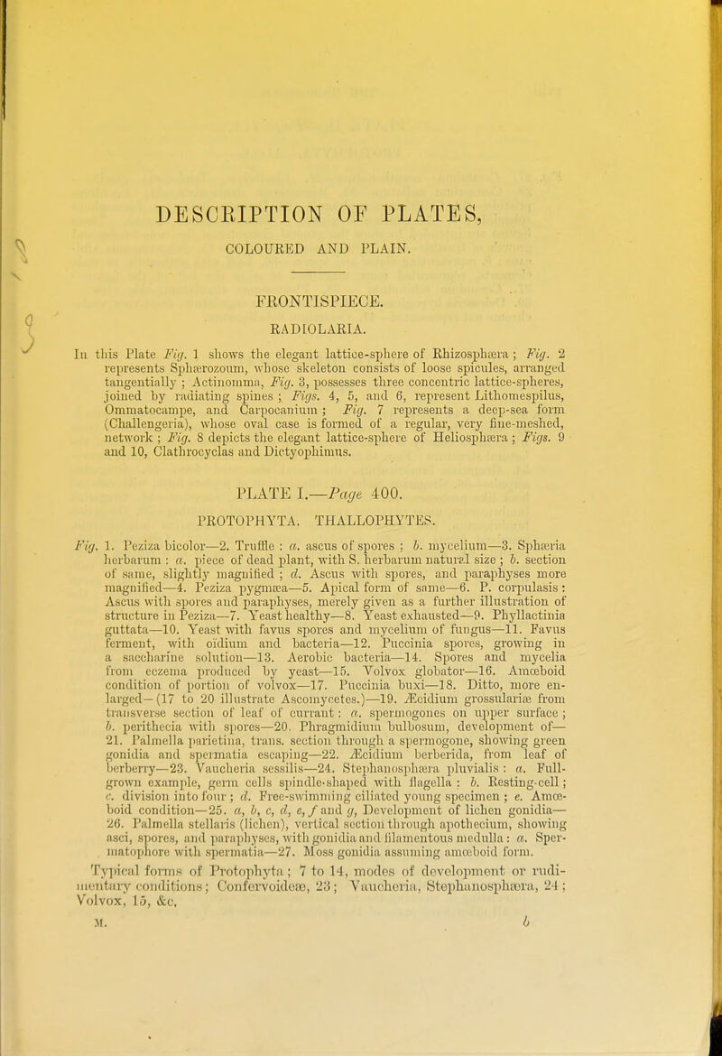 DESCEIPTION OF PLATES, COLOURED AND PLAIN. FEONTISPIECE. RADIOLARIA. In this Plate Fiy. 1 shows the elegant lattice-sphere of Rhizosphfera ; Fi</. 2 represents Spliajrozouni, whose skeleton consists of loose spicules, ari'anged taugeutially ; i\ctinoniina, Fig. 3, possesses three concentric lattice-spheres, joined by radiating s^jiues ; Figs. 4, 5, and 6, represent Lithoniespilus, Ominatocampe, and Carpocanium; Fig. 7 represents a deep-sea form (Challengeria), whose oval case is formed of a regulai-, very fine-meshed, network ; Fig. 8 depicts the elegant lattice-sphere of Heliospliajra ; Figs. 9 and 10, Clathrocyclas and Dictyophimus. PLATE I.—Page 400. PROTOPHYTA. THALLOPHYTES. Fig. 1. Peziza bicolor—2. Truffle : a. ascus of spores ; b. mycelium—3. Sphairia lierbarum : a. piece of dead plant, with S. herbarum natural size ; h. section of same, slightly magnified ; d. Ascus with spores, and paraphyses more magnified—i. Peziza pygmcea—5. Apical form of same—6. P. corpulasis : Ascns with spores and paraphyses, merely given as a further illustration of structure in Peziza—7. Yeast healthy—8. Yeast exhausted—9. Phyllactinia guttata—10. Yeast with favns spores and mycelium of fungus—11. Favus feiTuent, with oidium and bacteria—12. Puccinia spores, growing in a saccharine solution—13. Aerobic bacteria—14. Spores and mycelia from eczema produced by yeast—15. Volvox globator—16. Amoeboid condition of portion of volvox—17. Puccinia buxi—18. Ditto, more en- larged—(17 to 20 illustrate Ascomycetes.)—19. iEcidium grossulariaj from transverse section of leaf of currant: a. spermogones on lapper surface ; b. perithecia with spores—20. Phragmidium bnlbosum, development of— 21. Palniella pnrietina, trans, section through a spermogone, showing green gonidia and speimatia escaping—22. jEcidium berberida, from leaf of bcrben-y—23. Vaucheria sessilis—24. Stephanosphajra plnvialis ; a. Full- grown example, germ cells spindle-shaped with flagclla ; b. Rcsting-cell; c. division into four ; d. Free-swimming ciliated yonng specimen ; e. Amoe- boid condition—25. a, b, c, d, c,/and g, Development of lichen gonidia— 26. Palmella stellaris (lichen), vertical section throngh apothecinm, showing asci, .spores, and paraphyses, with gonidia and lihimentons medulla : a. Sper- . niatophore with spermatia—27. Moss gonidia assuming amoeboid form. T^qiical fonns of Protophyta; 7 to 14, modes of rlevelopment or vudi- 11 an itiiry conditions; Conforvoidcaj, 23; Yaiiclioriu, StephunospliEBm, 2i; Volvox, 15, &c,